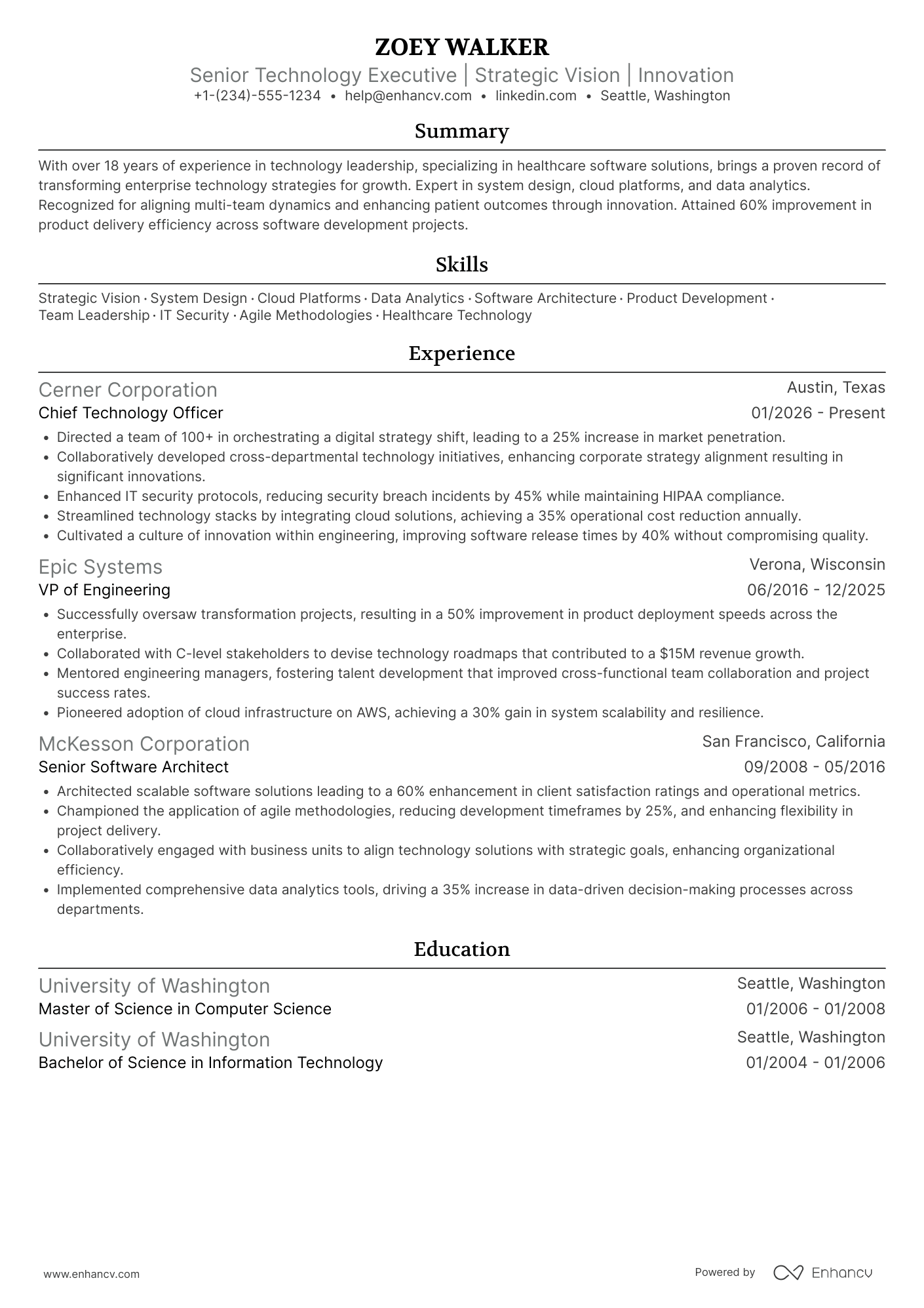 Senior CTO Resume Example