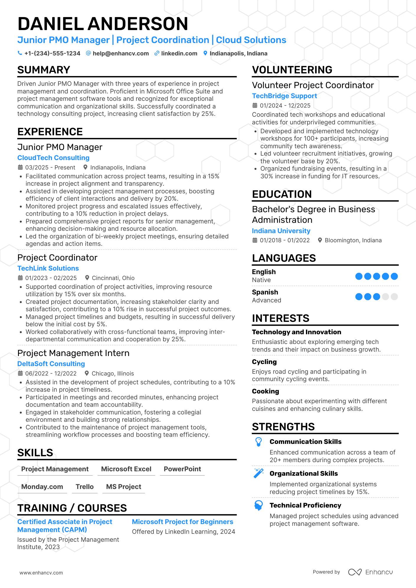 Junior PMO Manager Resume Example