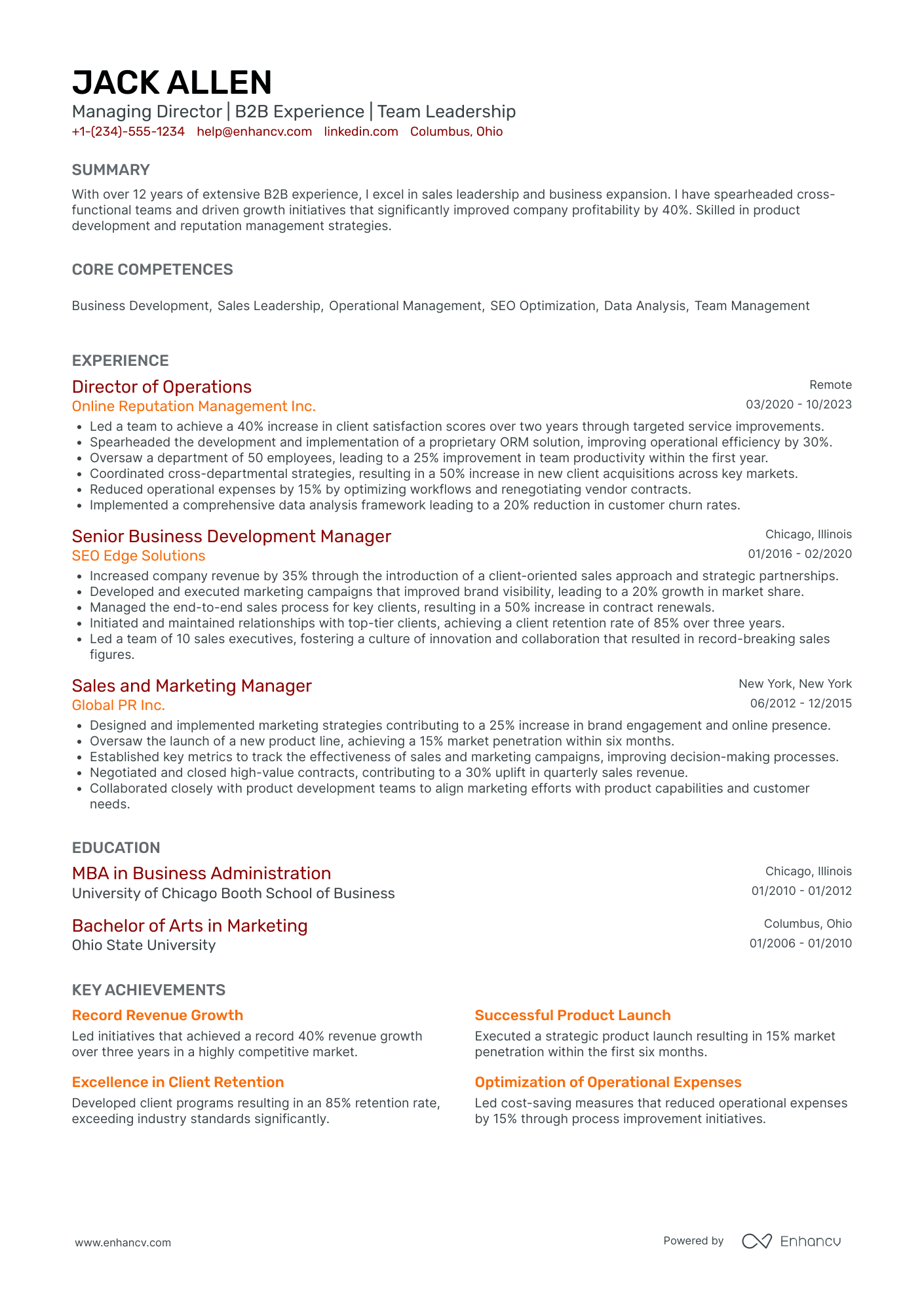 Digital CEO Resume Example