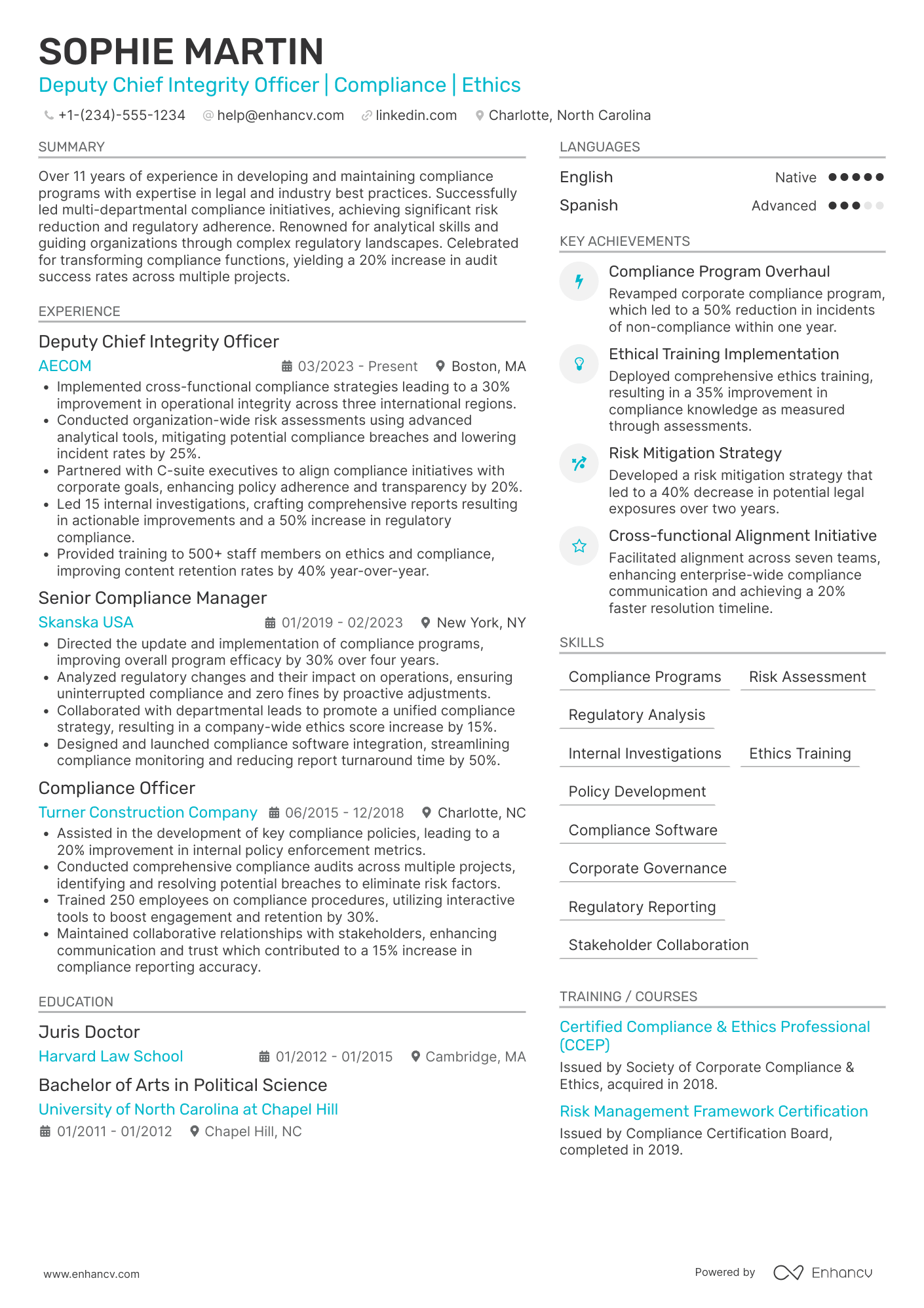 Deputy Chief Integrity Officer Resume Example