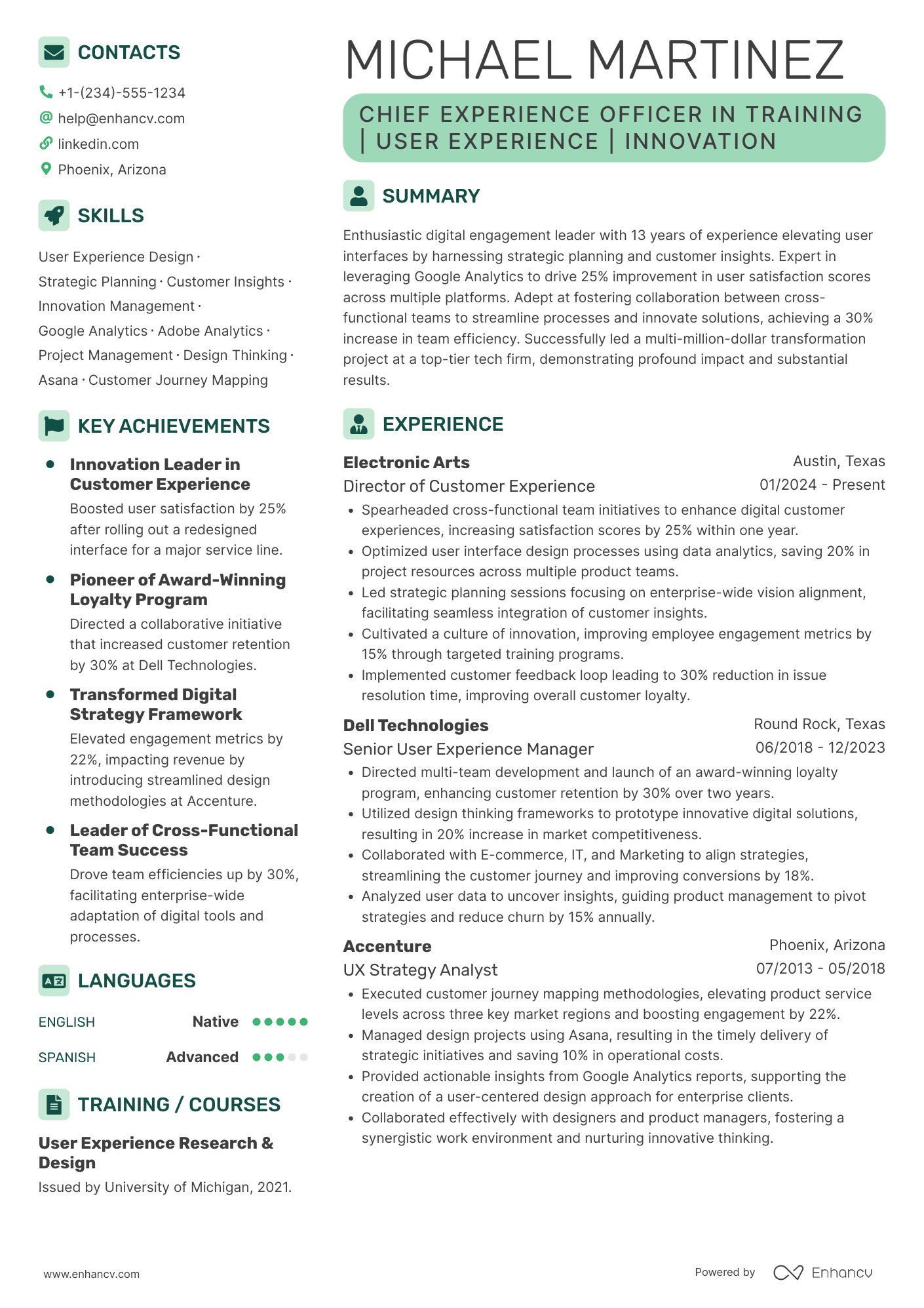 Chief Experience Officer in Training Resume Example