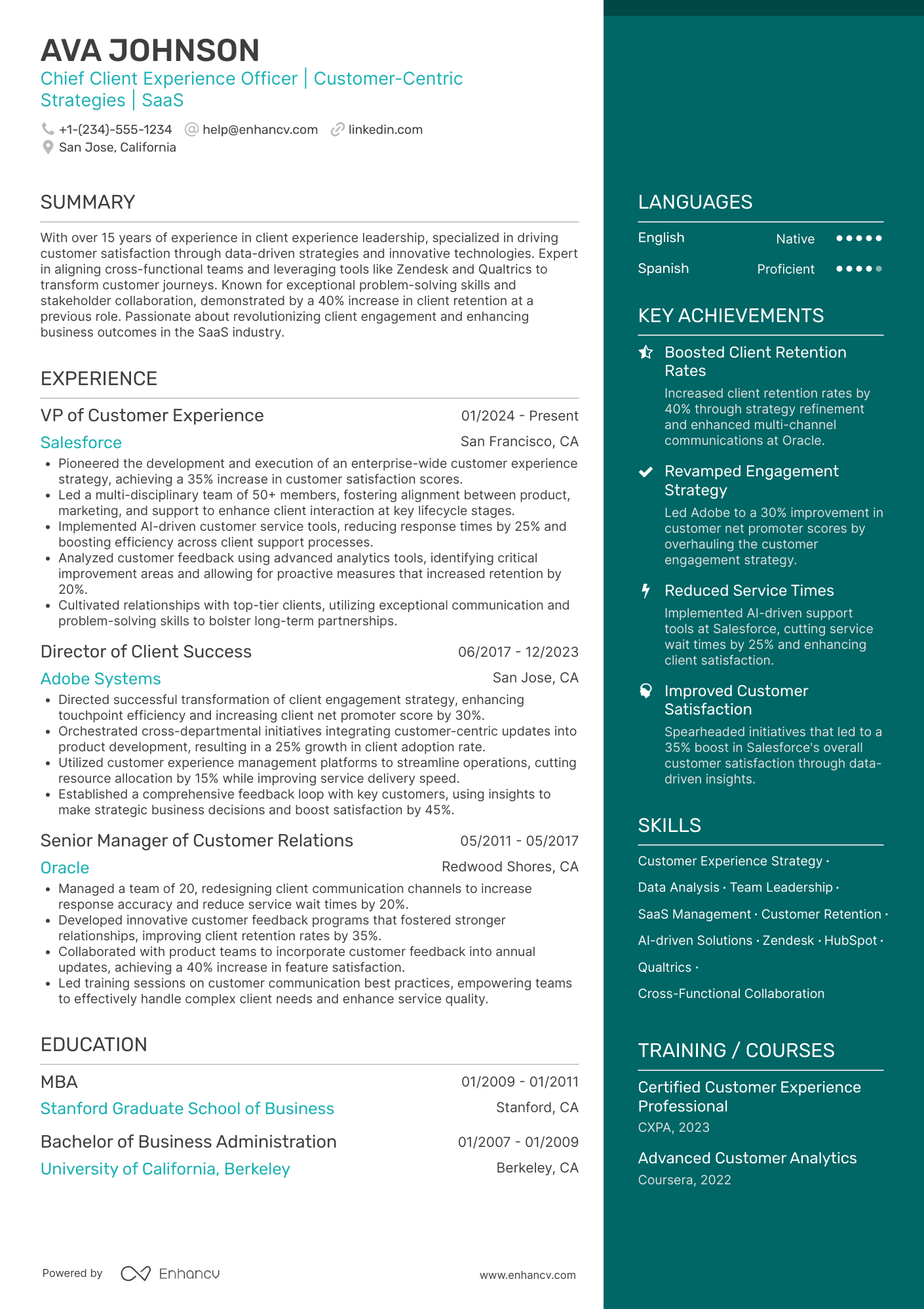 Chief Client Experience Officer Resume Example