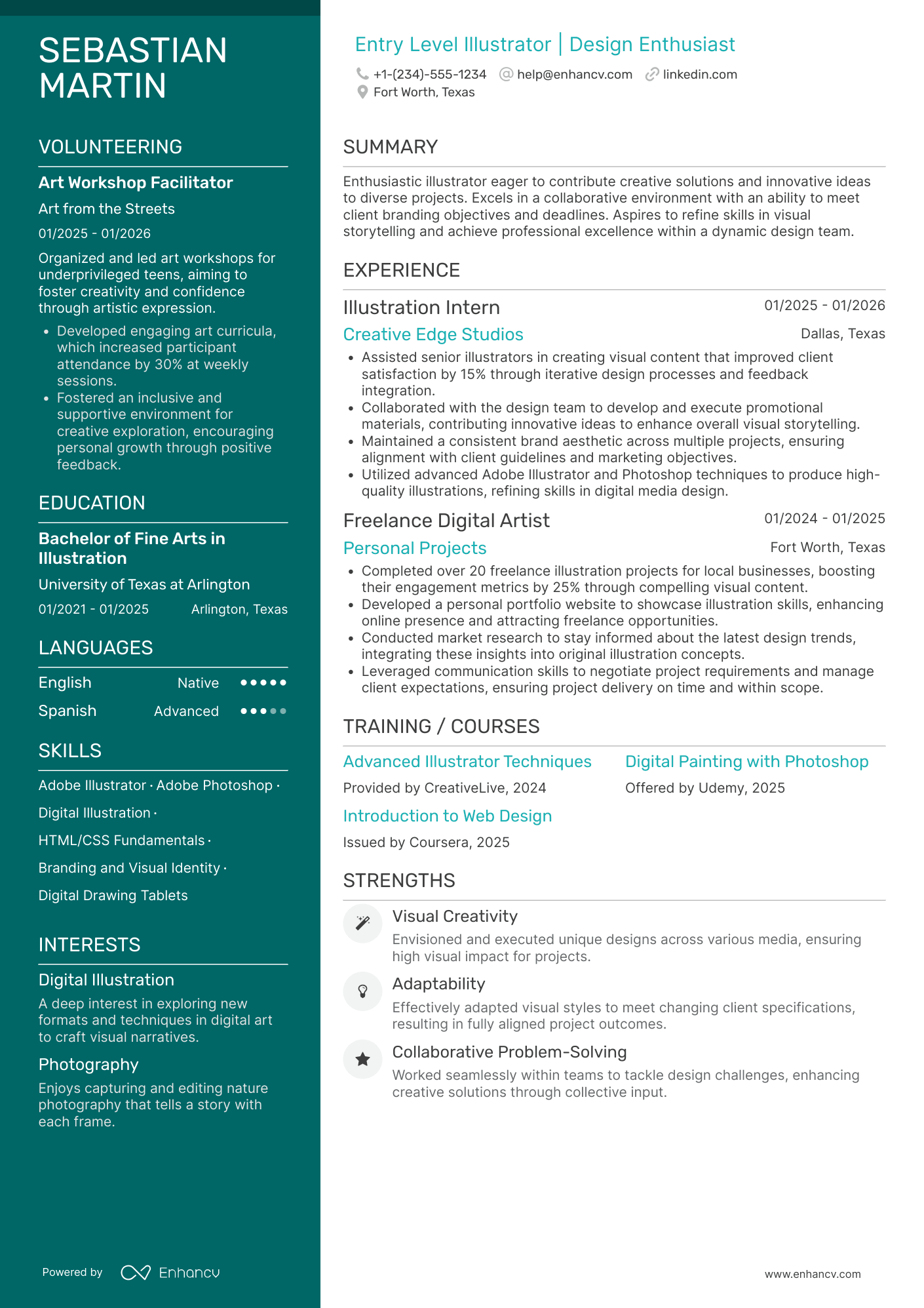 Entry Level Illustrator Resume Example
