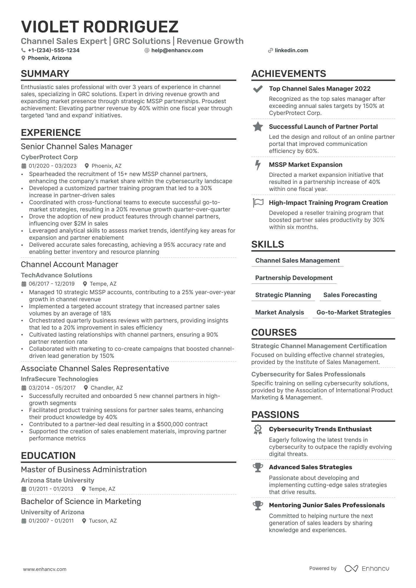 Channel Sales Manager Resume Example