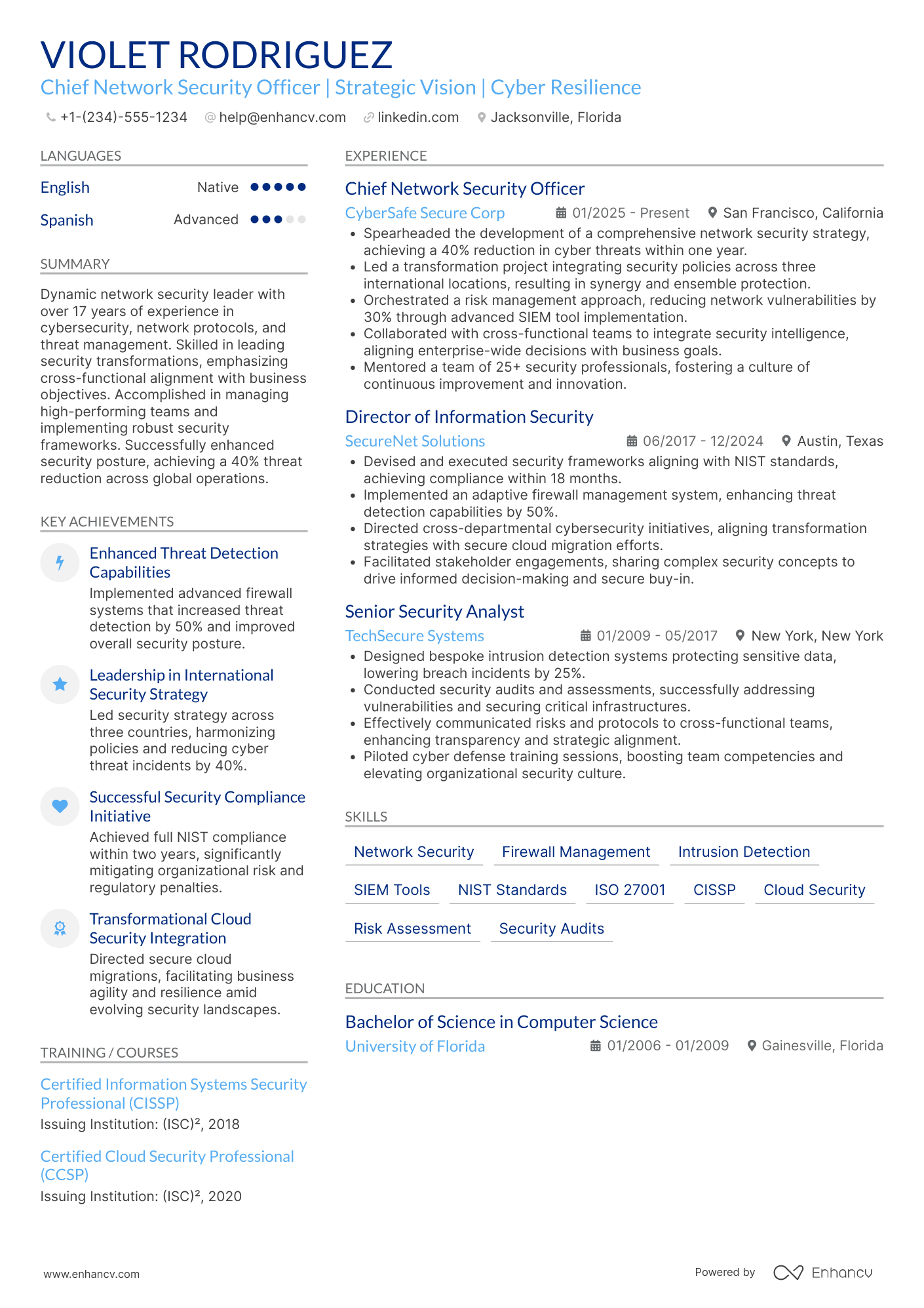 Chief Network Security Officer Resume Example
