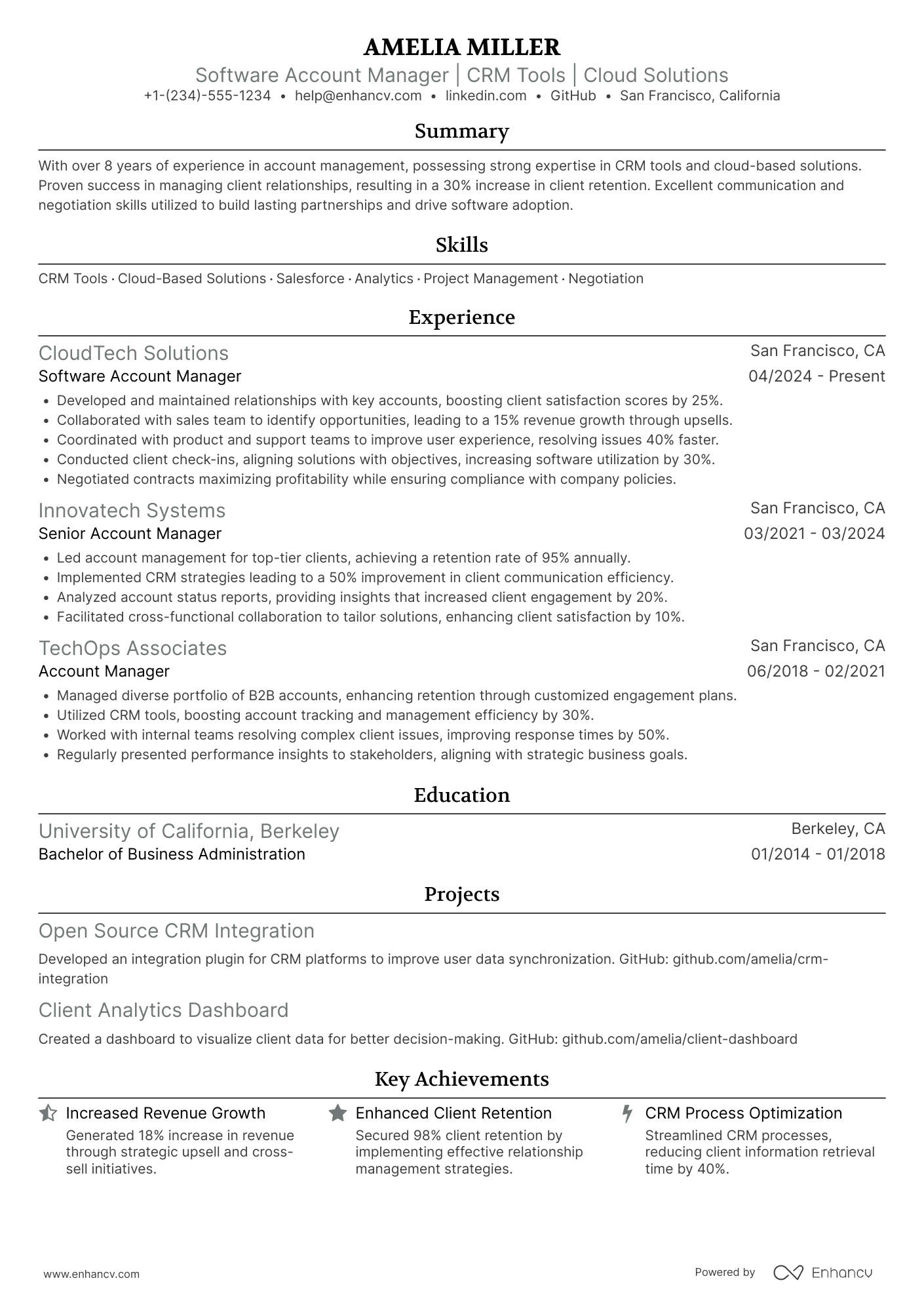 Software Account Manager Resume Example