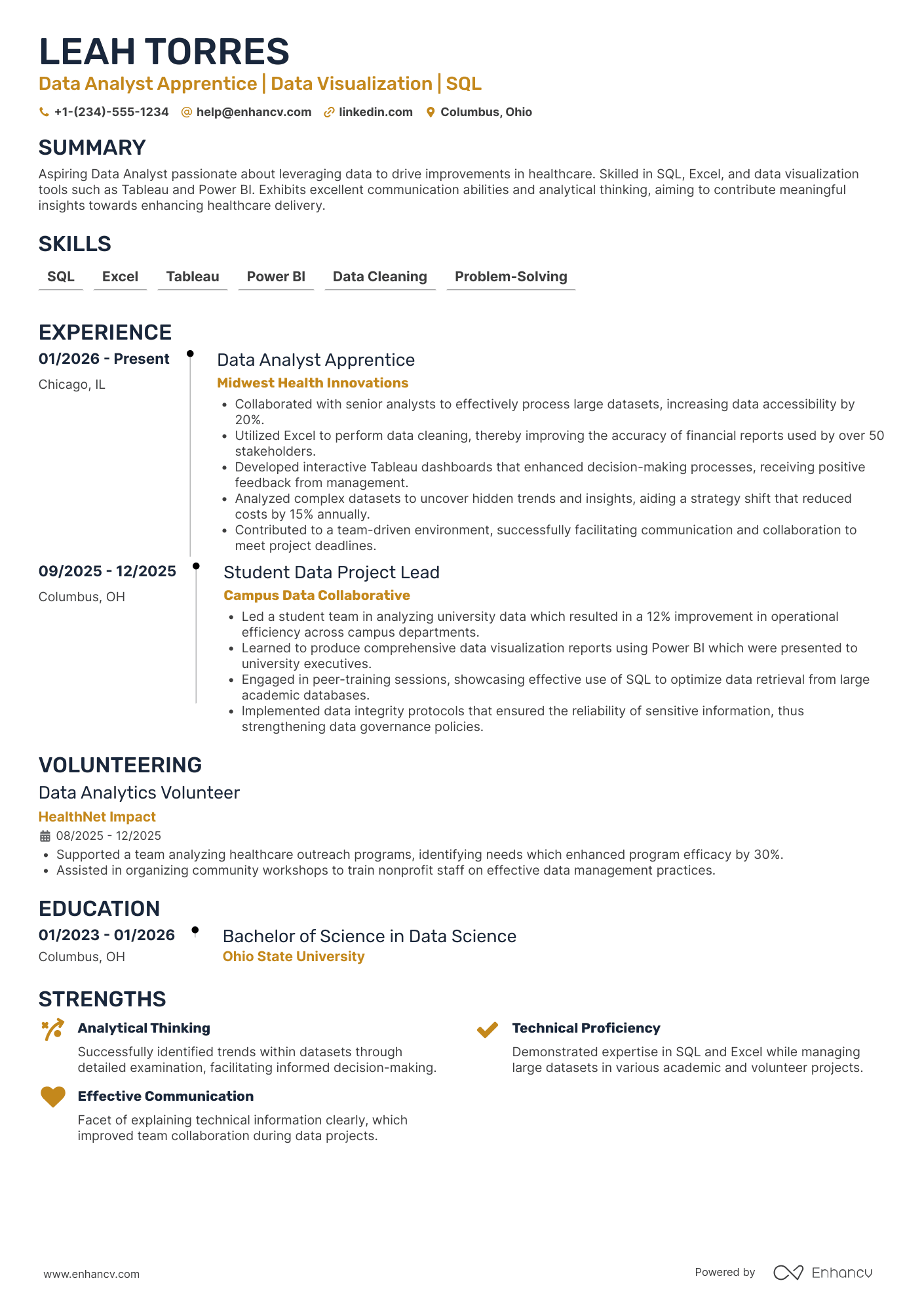 Data Analyst Apprentice Resume Example