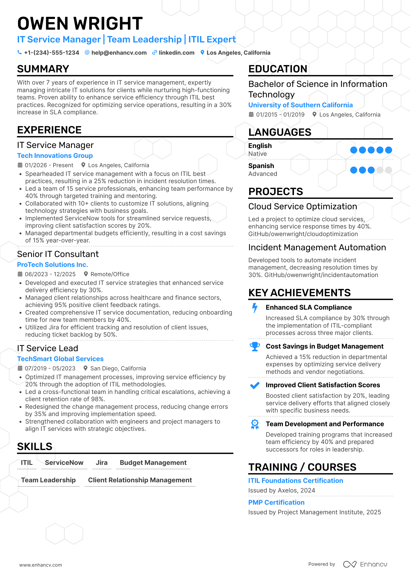 IT Service Manager Resume Example