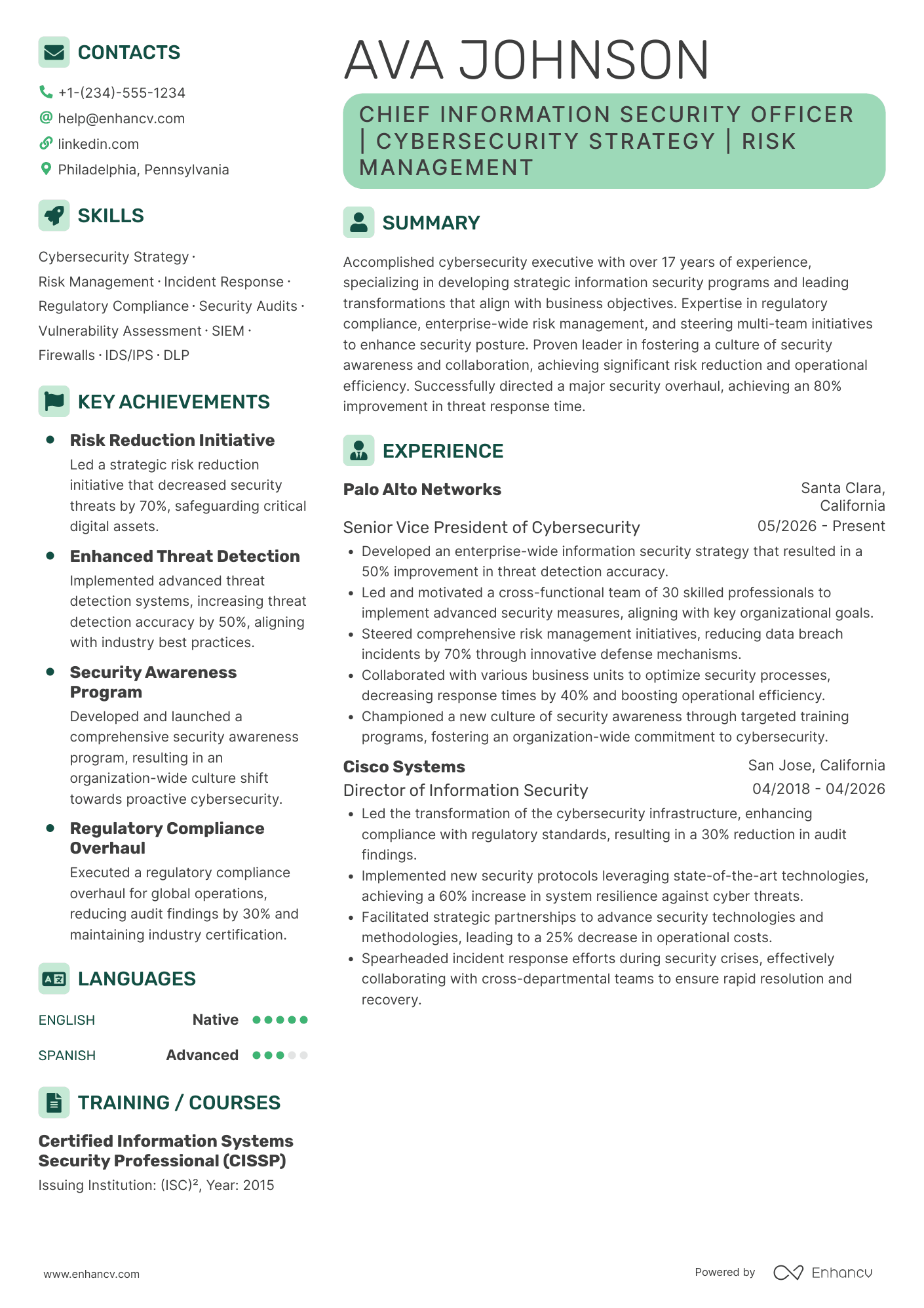 Chief Information Security Officer Resume Example