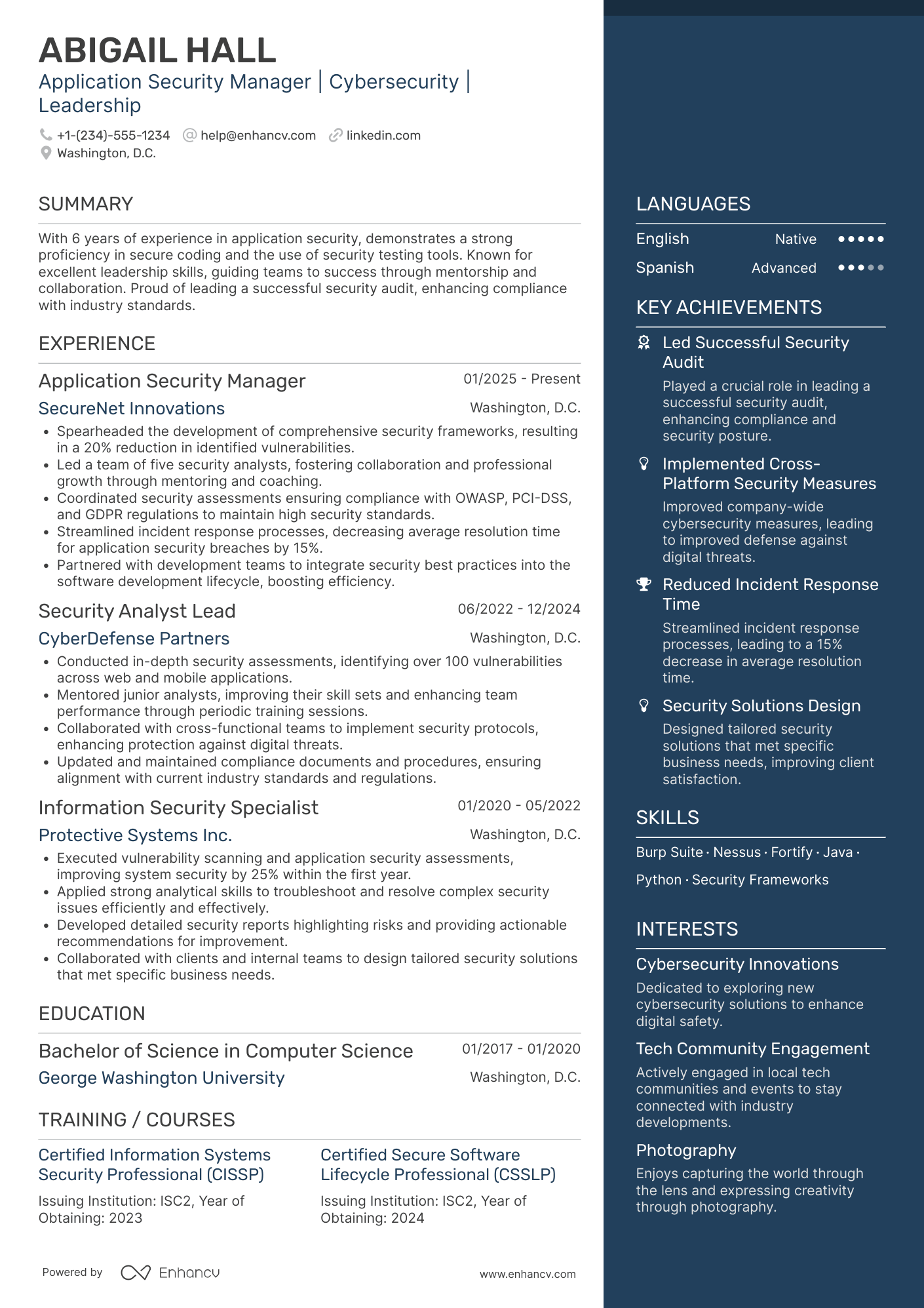 Application Security Manager Resume Example