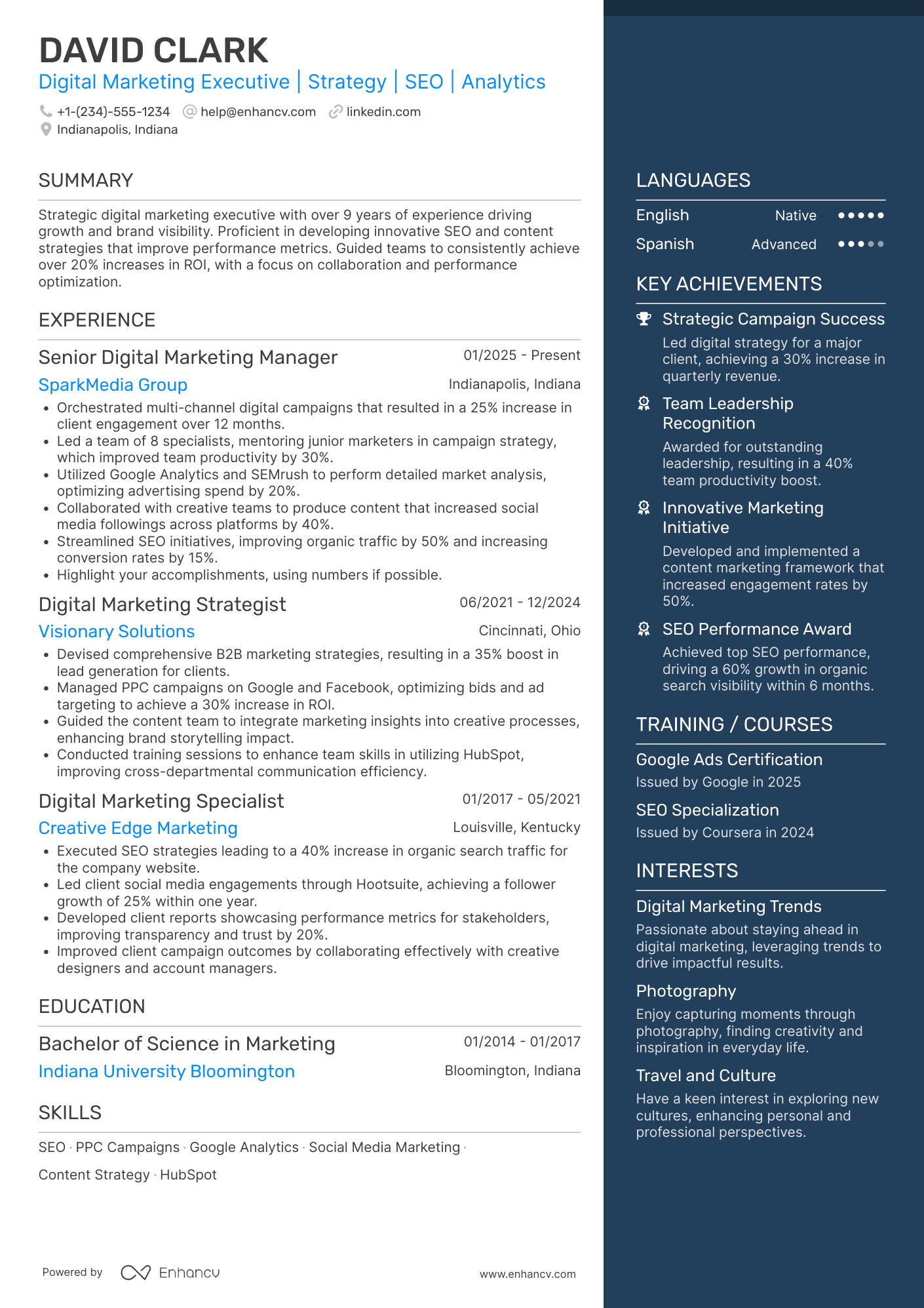 Lead Digital Marketing Executive Resume Example