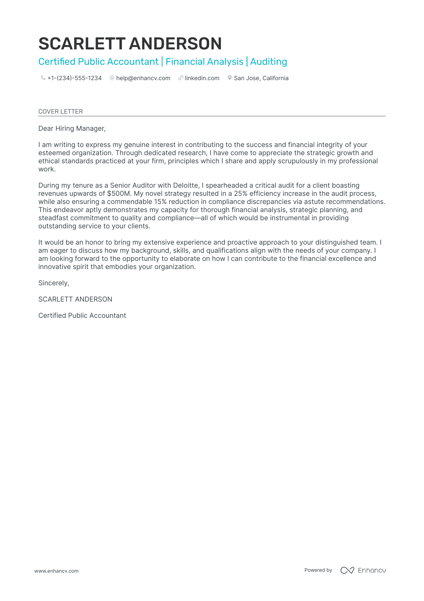 Financial Auditor Resume Example