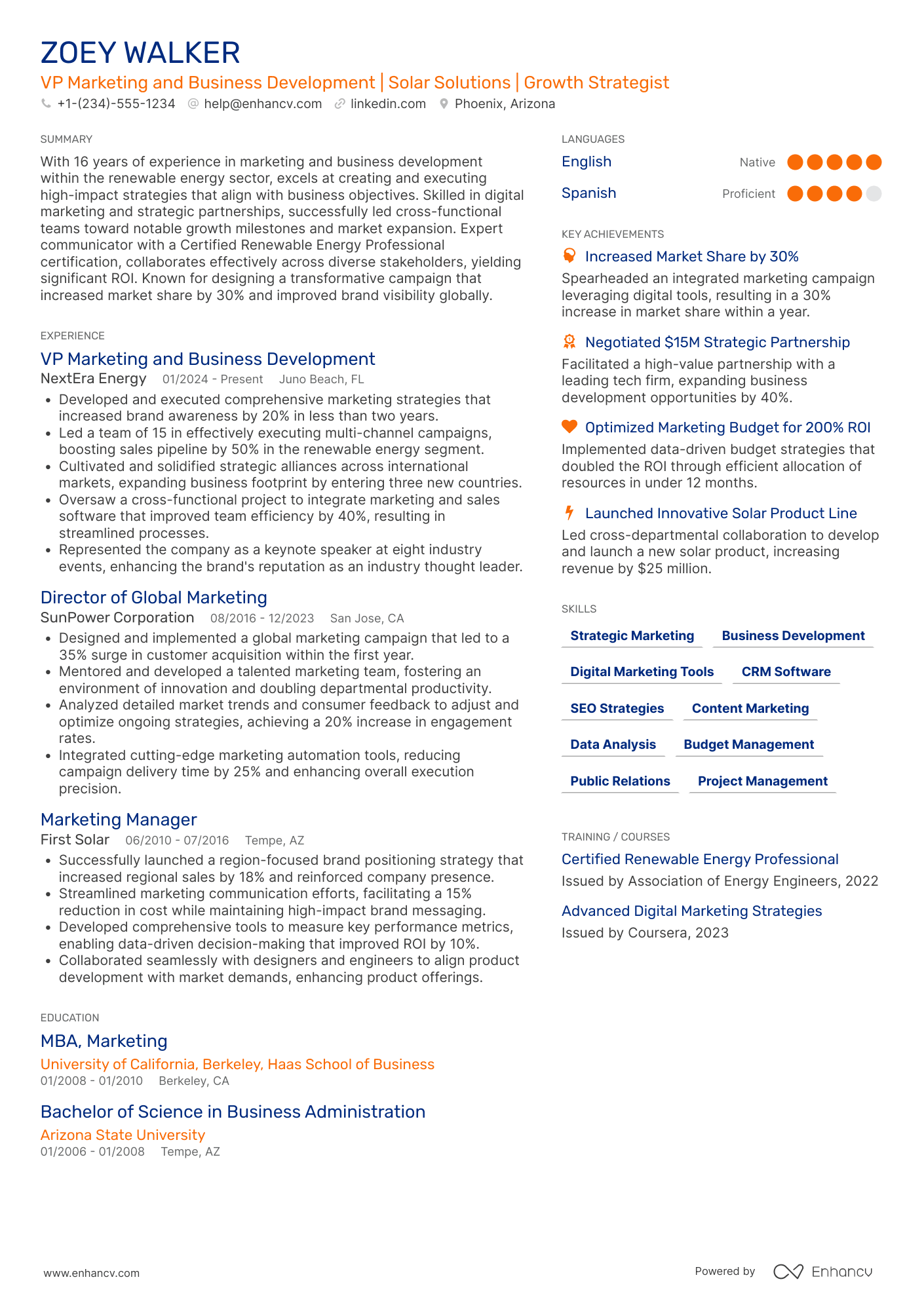 VP Marketing and Business Development Resume Example