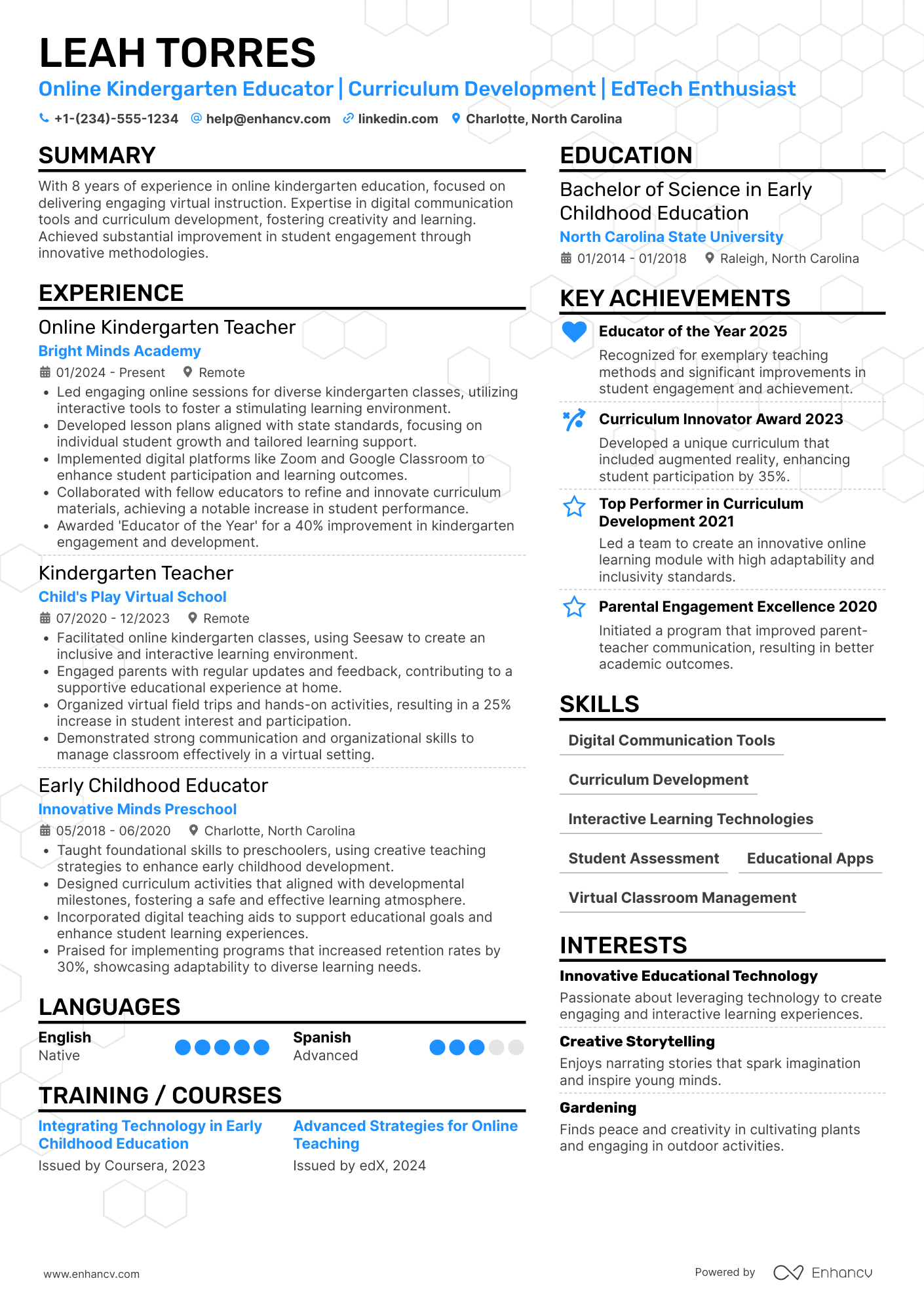 Online Kindergarten Teacher Resume Example