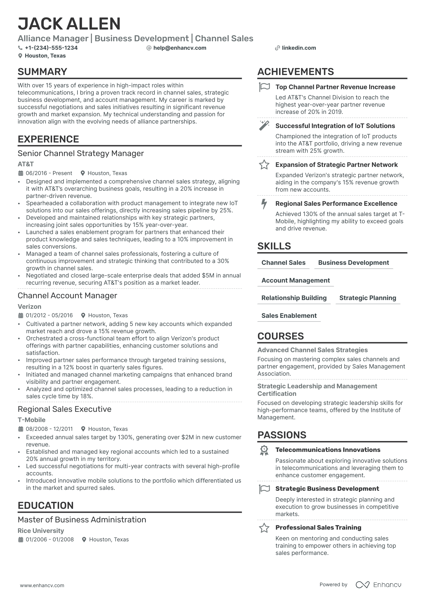Alliance Manager Resume Example