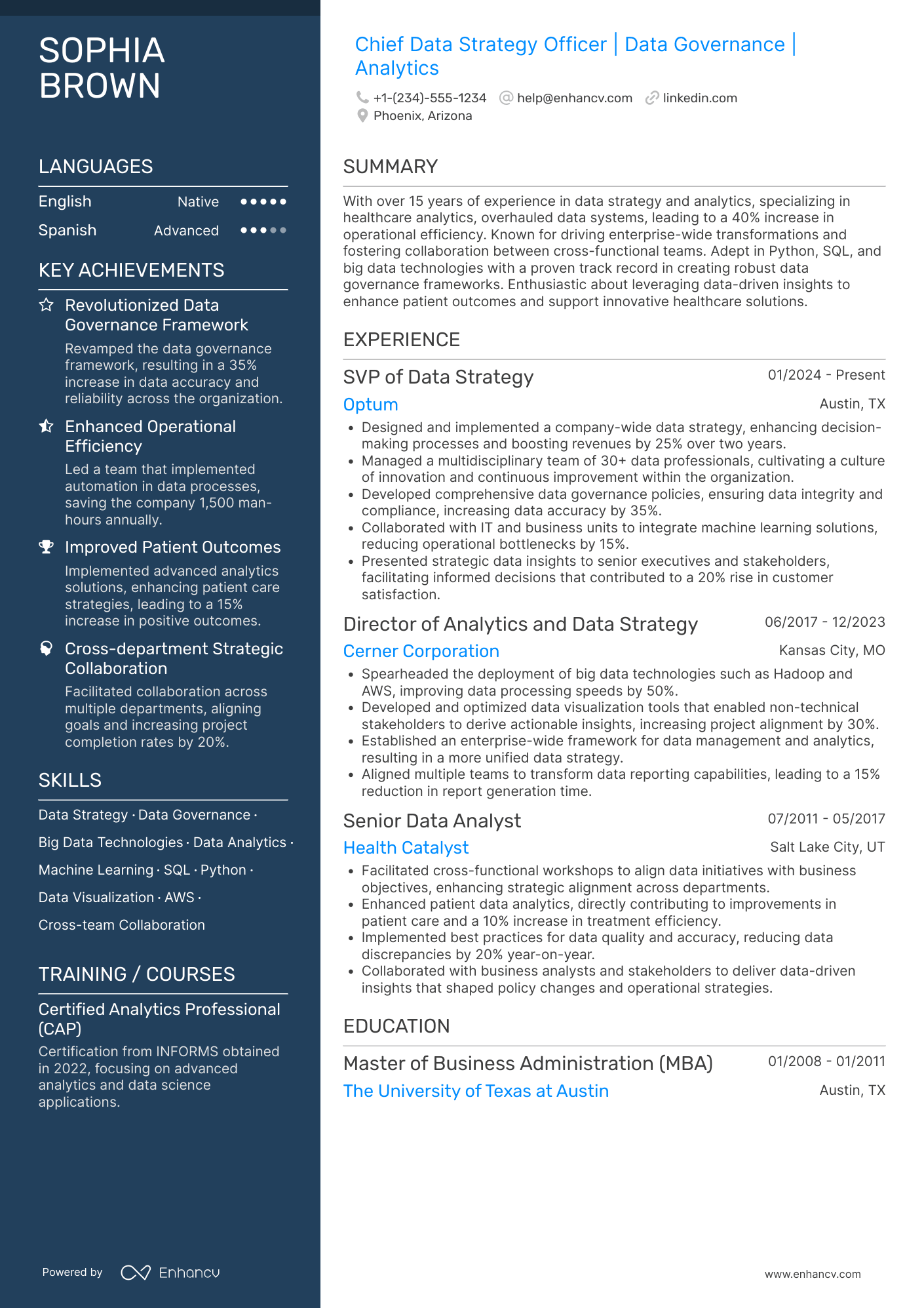 Chief Data Strategy Officer Resume Example