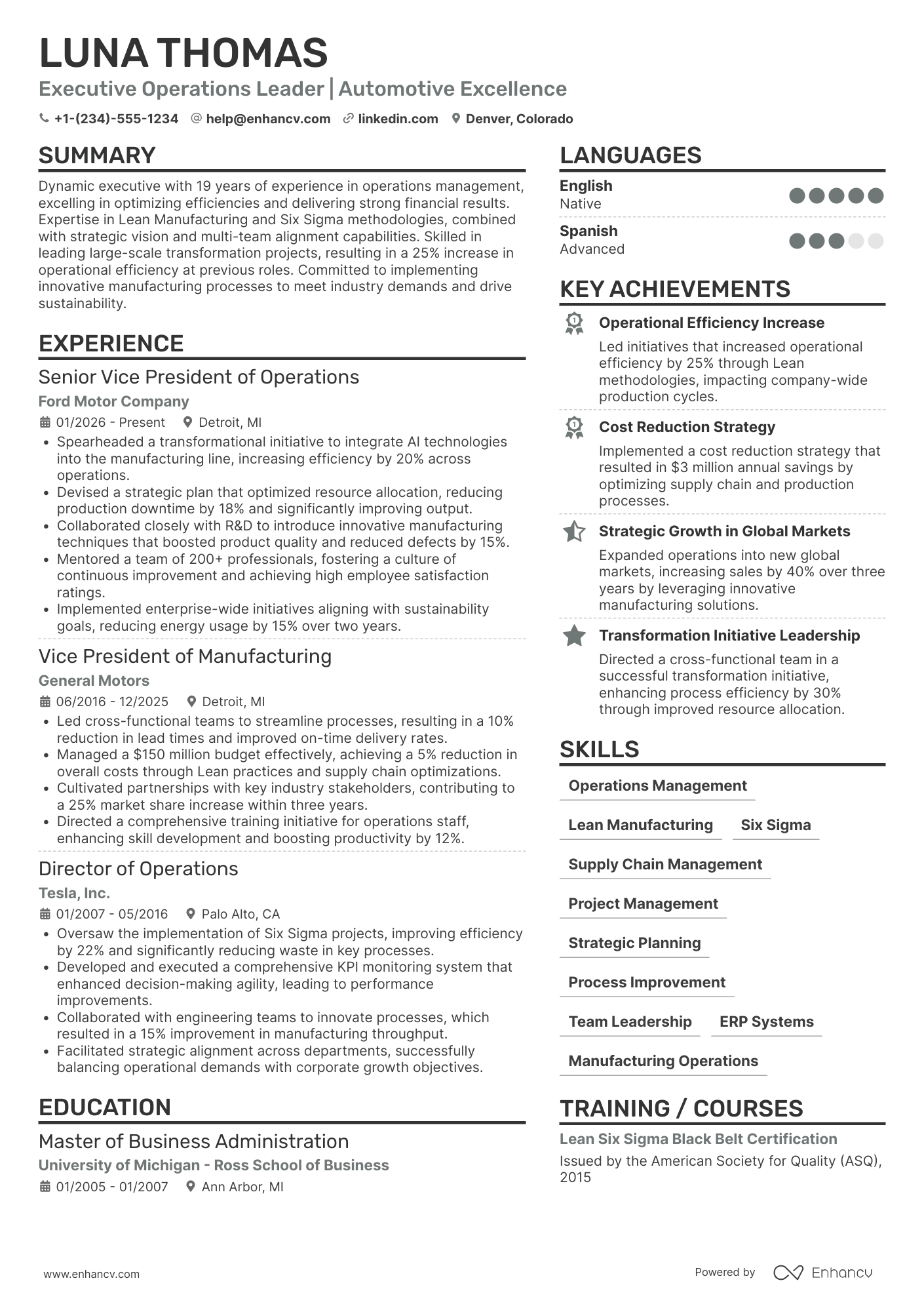 Executive Vice President of Operations Resume Example