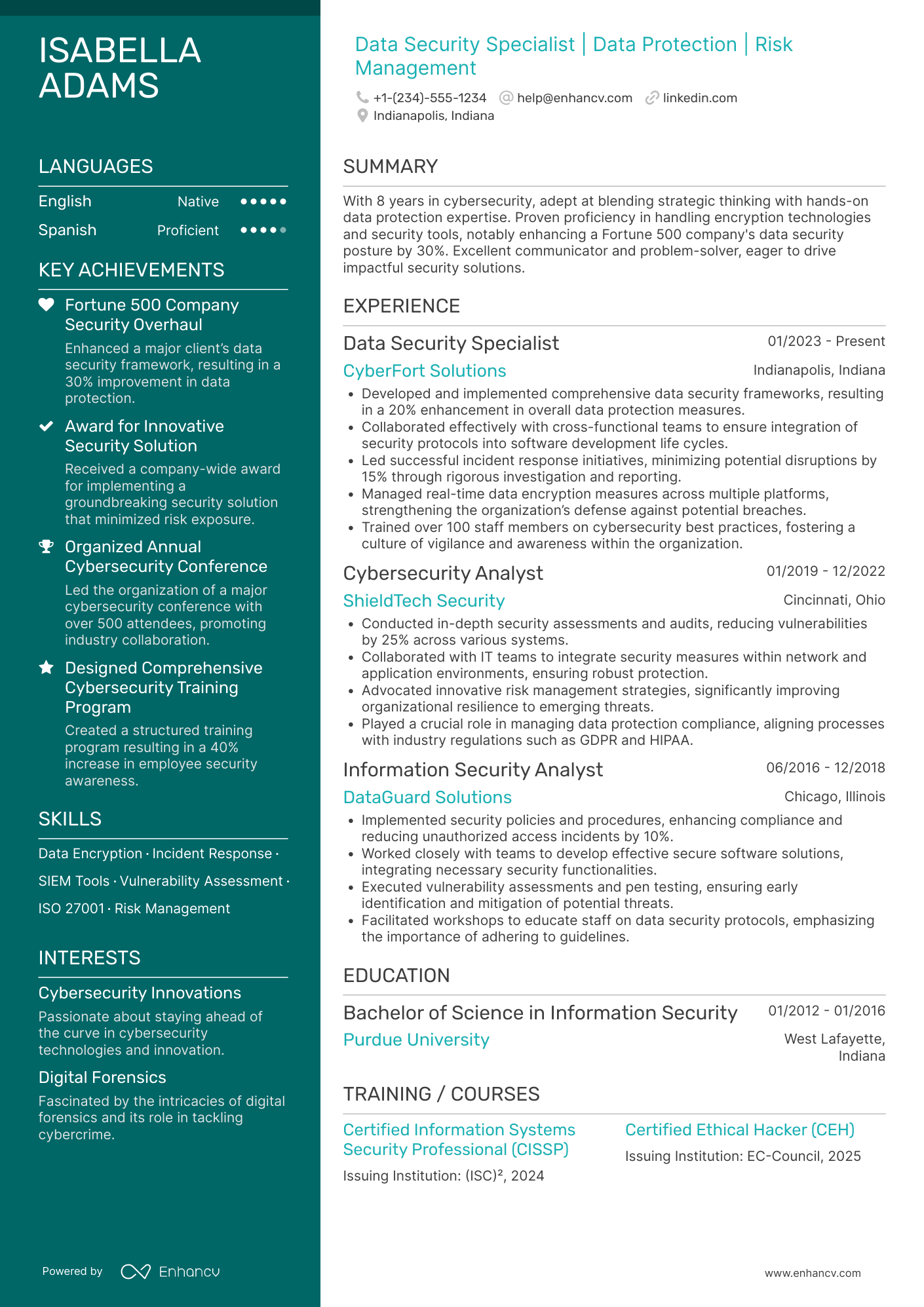Data Security Officer Resume Example