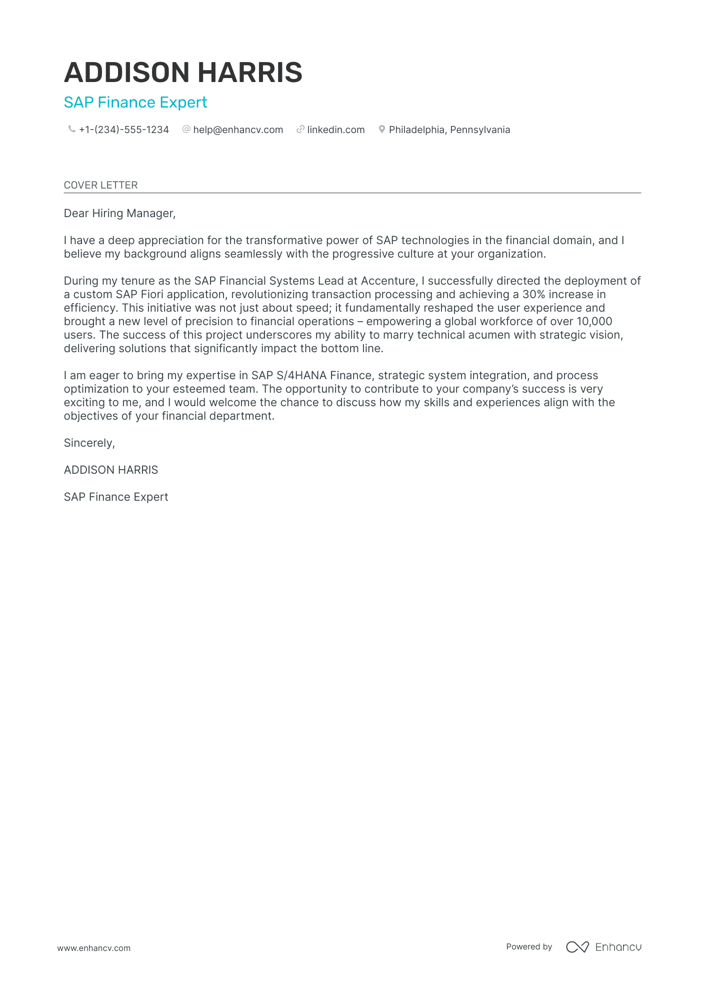 Functional Manager Resume Example