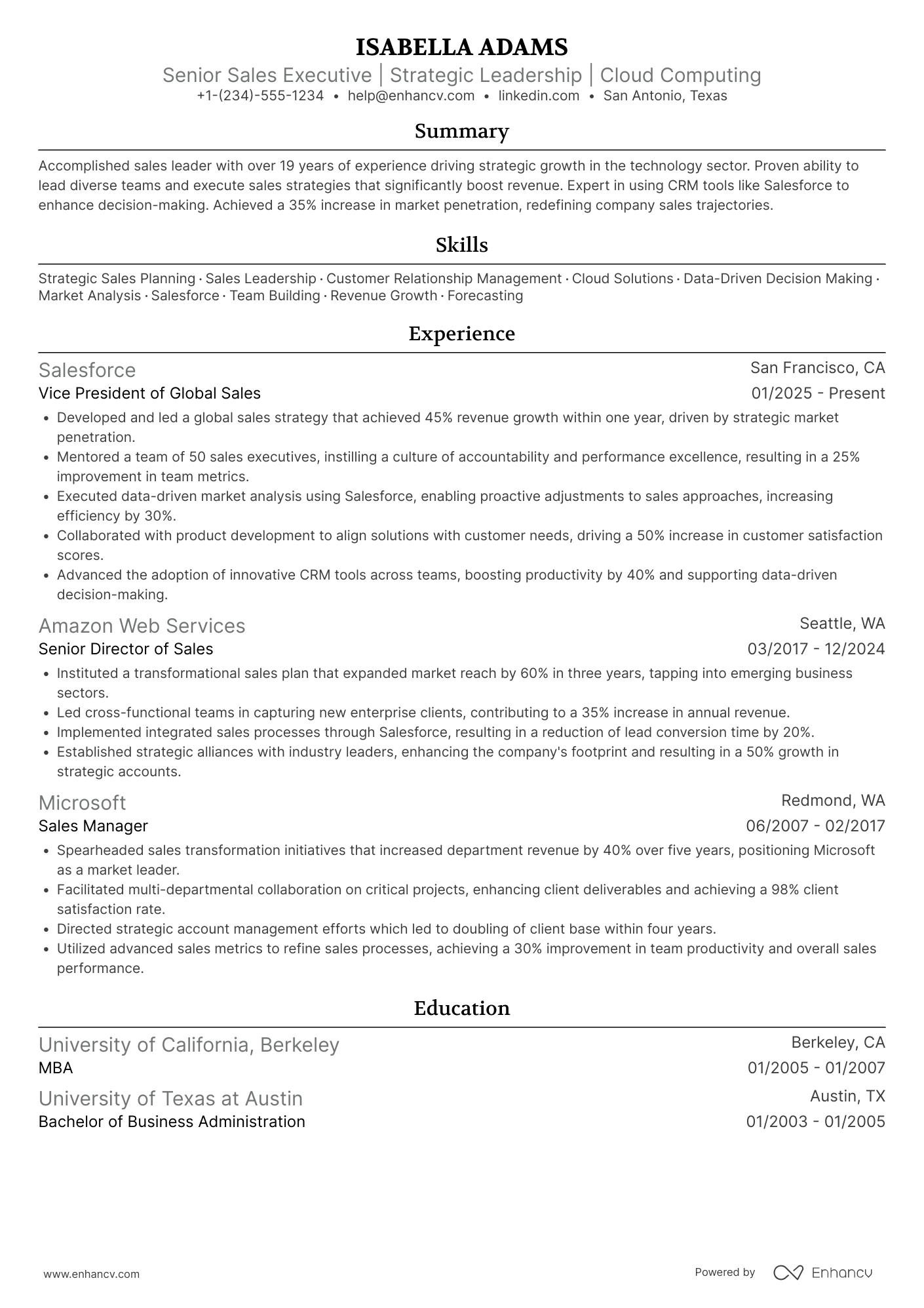 Senior VP of Sales Resume Example