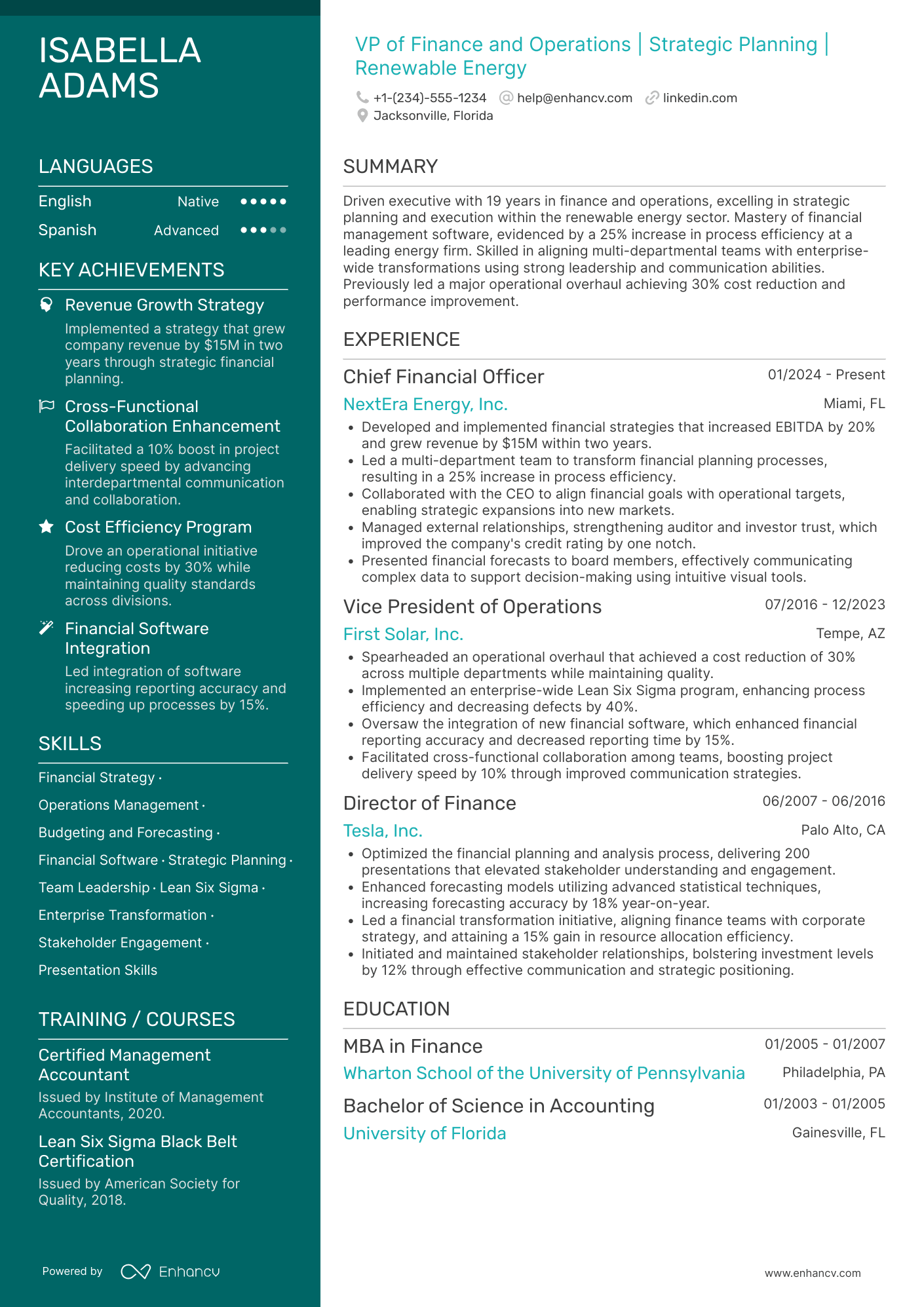 VP of Finance and Operations Resume Example