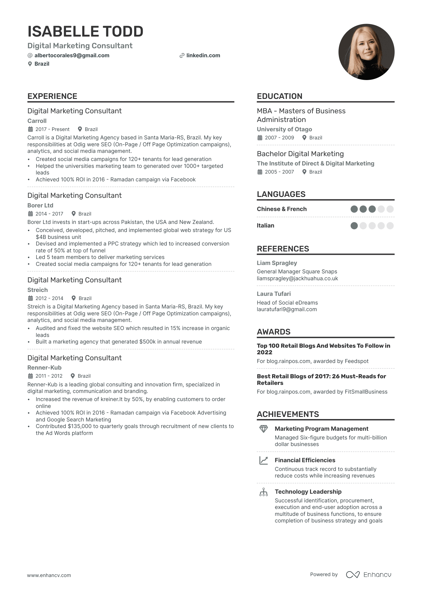 Digital Marketing Consultant Resume Example