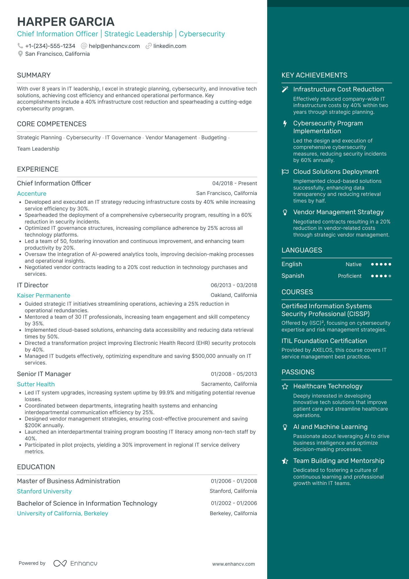 Chief Information Systems Officer Resume Example