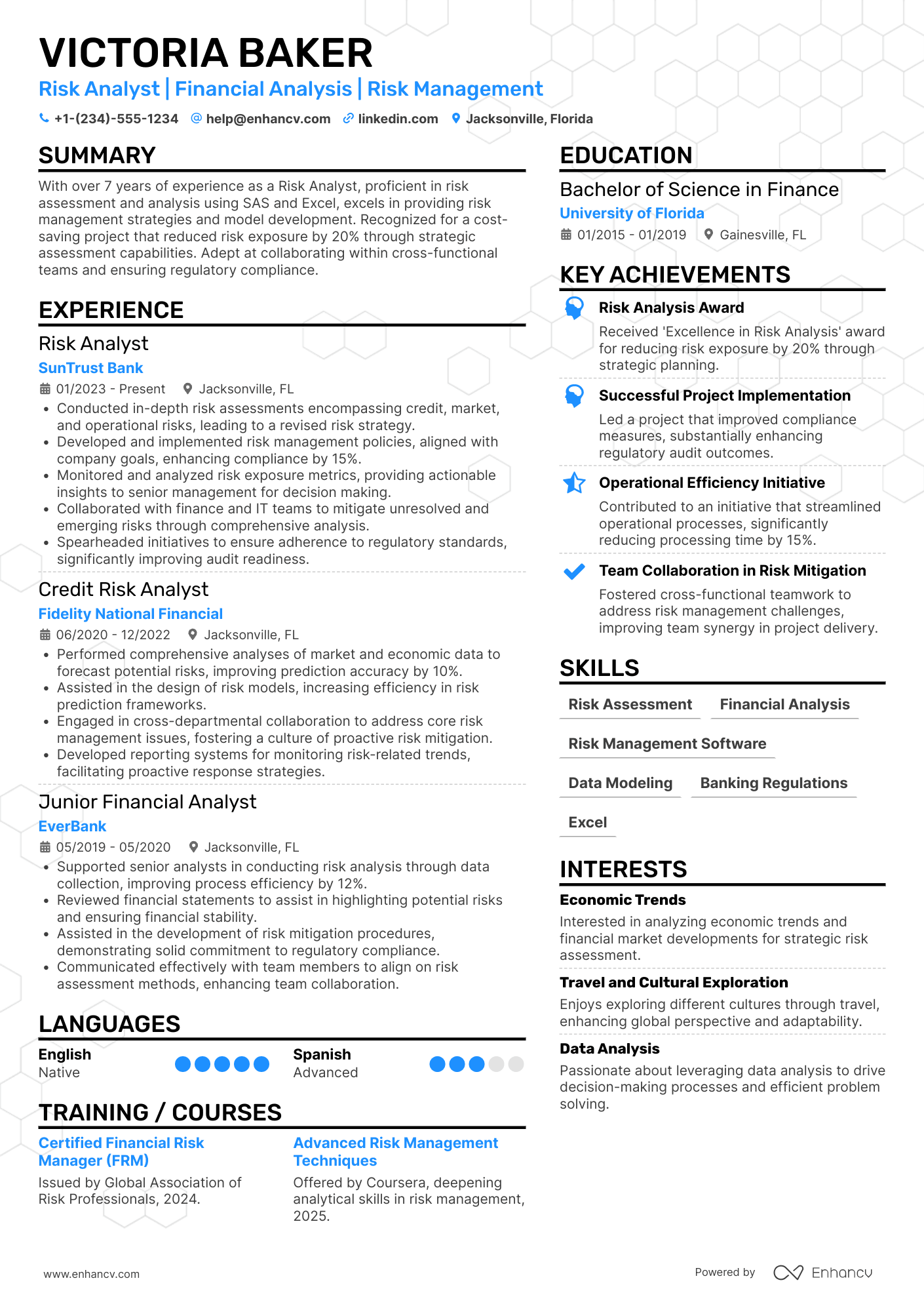 Banking Risk Analyst Resume Example