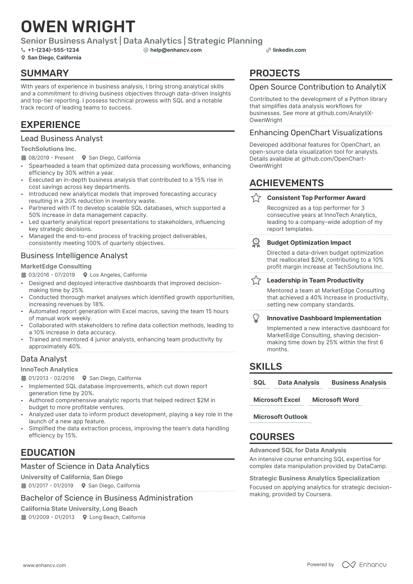 Excel Data Analyst Resume Example