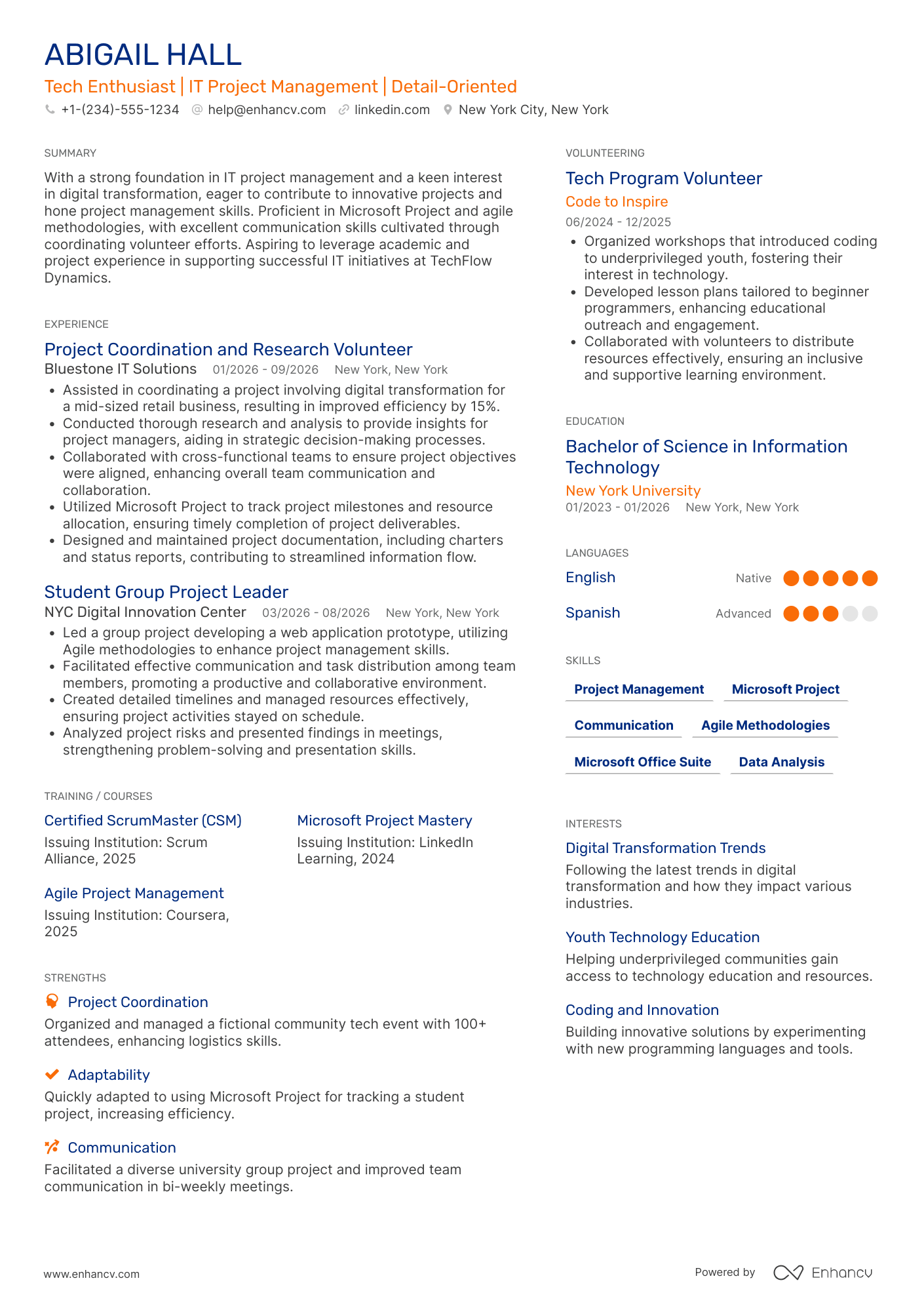 IT Project Management Intern Resume Example