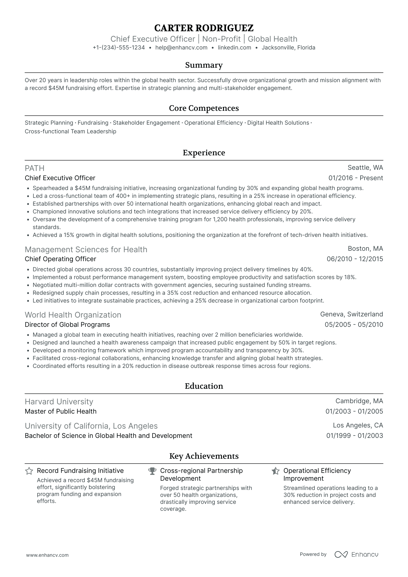 Global CEO Resume Example
