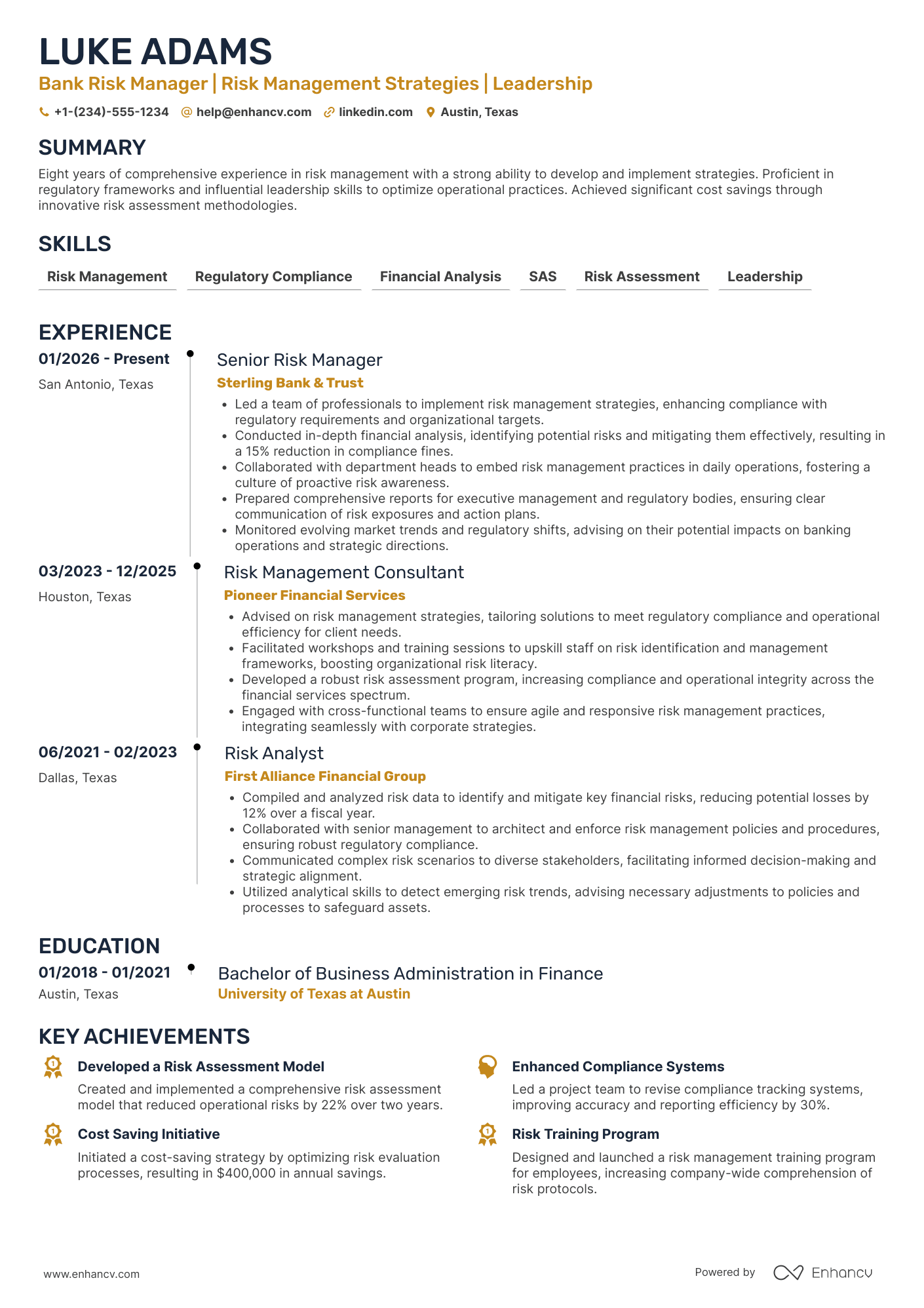 Bank Risk Manager Resume Example