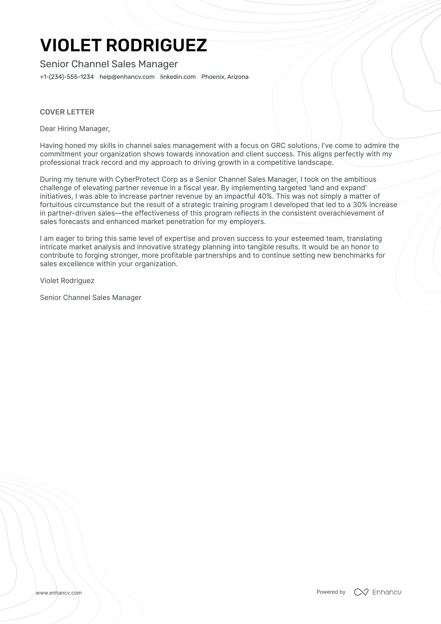 Channel Sales Manager Resume Example