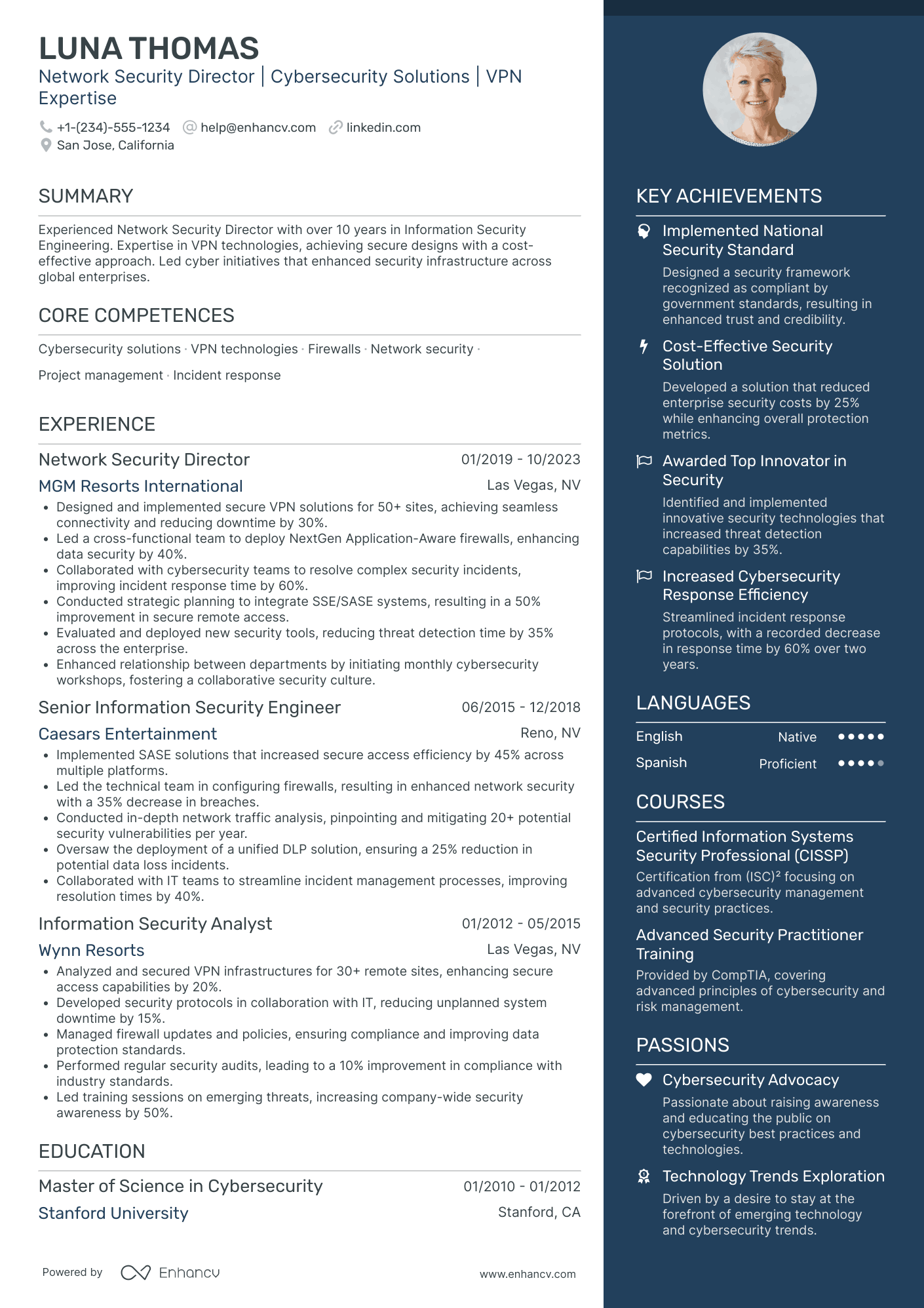 Chief Network Security Officer Resume Example