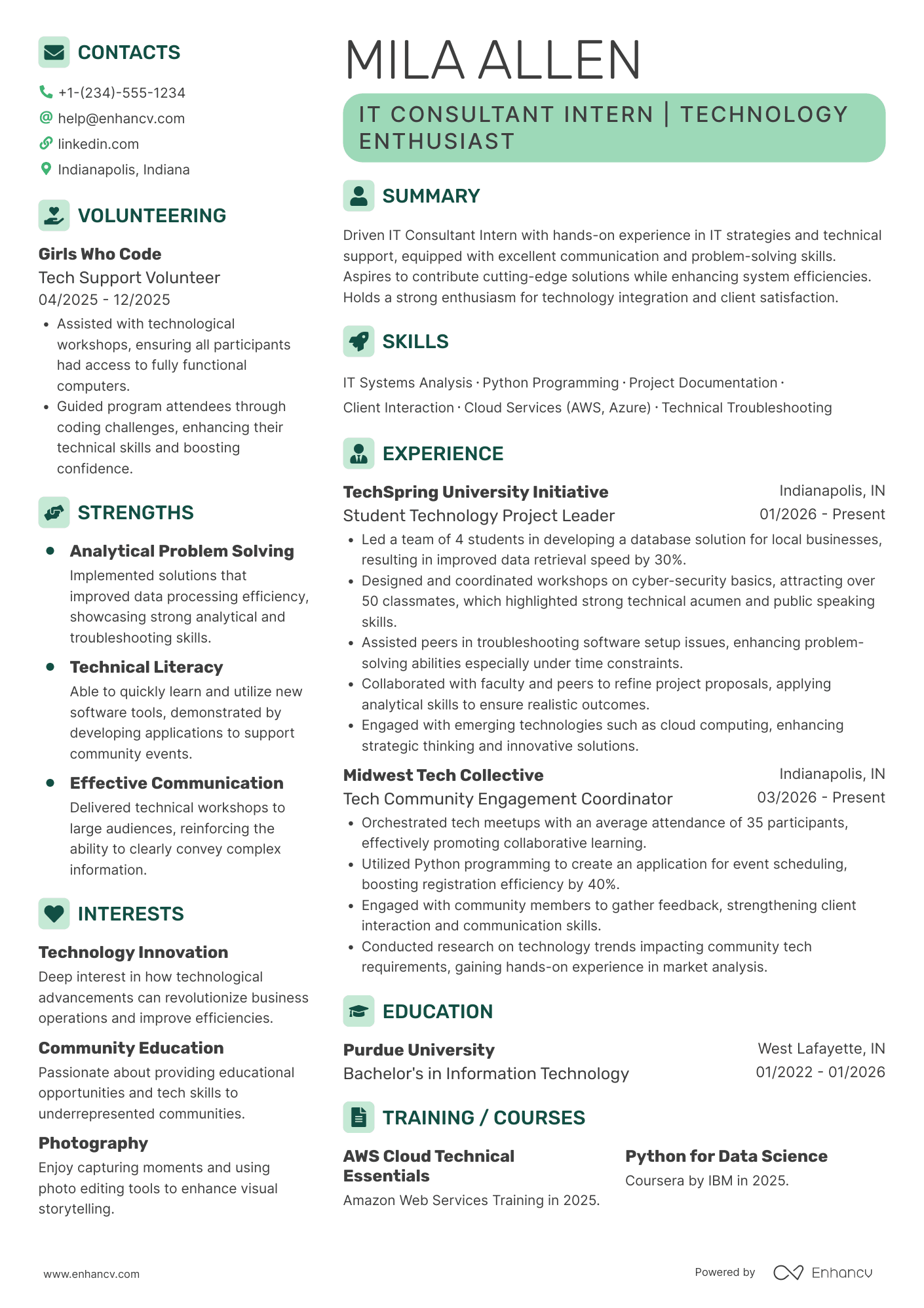 Entry Level IT Consultant Intern Resume Example