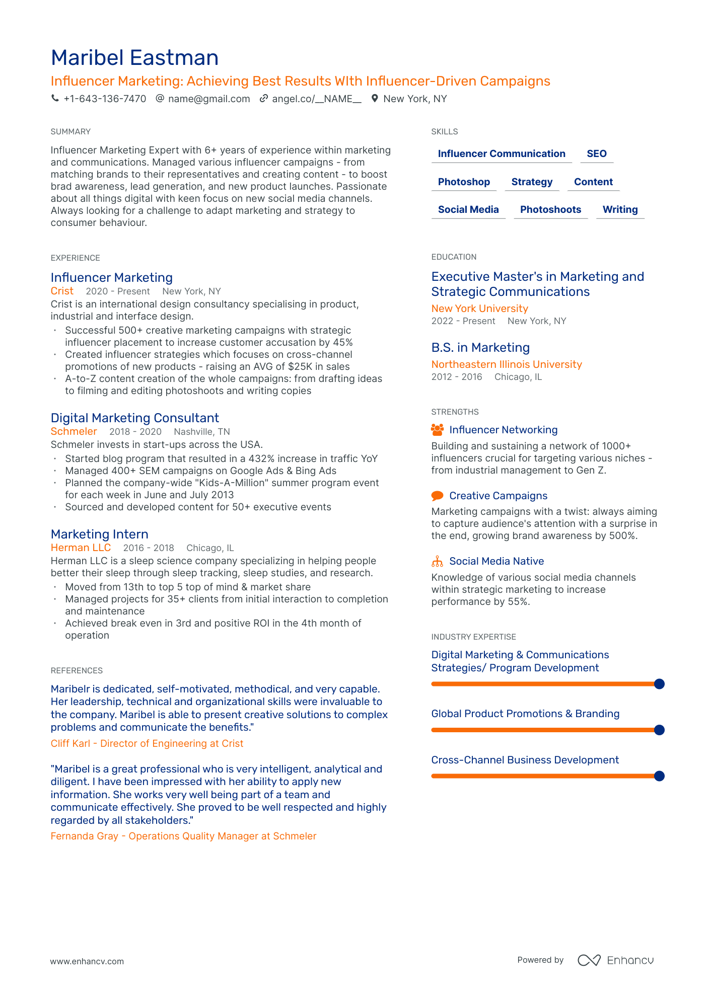 Influencer Marketing Resume Example