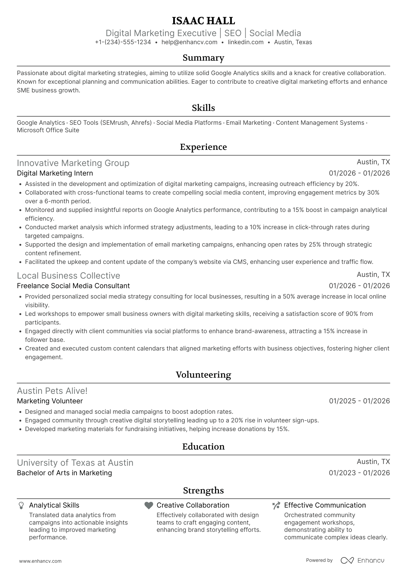 Entry Level Digital Marketing Executive Resume Example