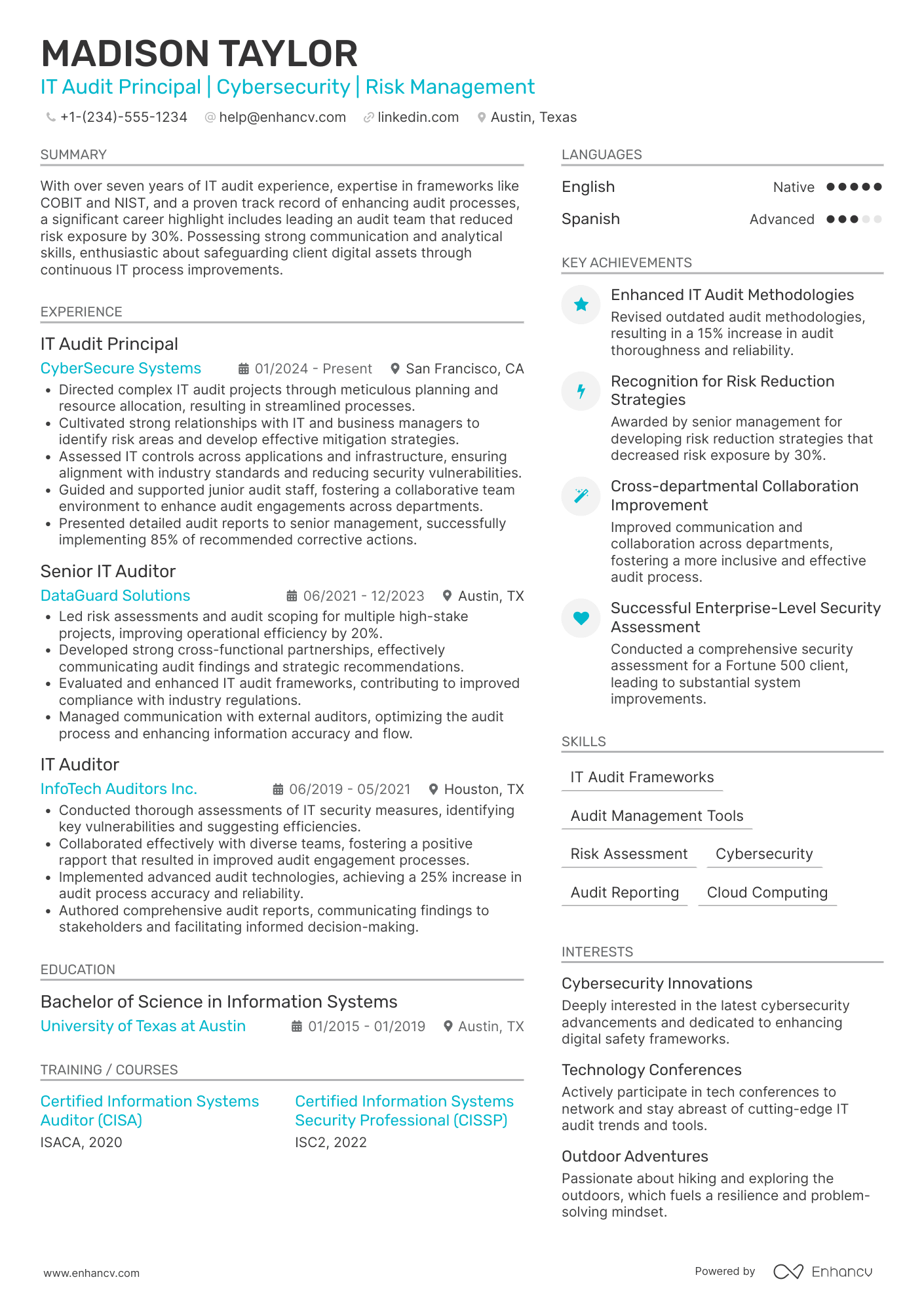 IT Audit Principal Resume Example