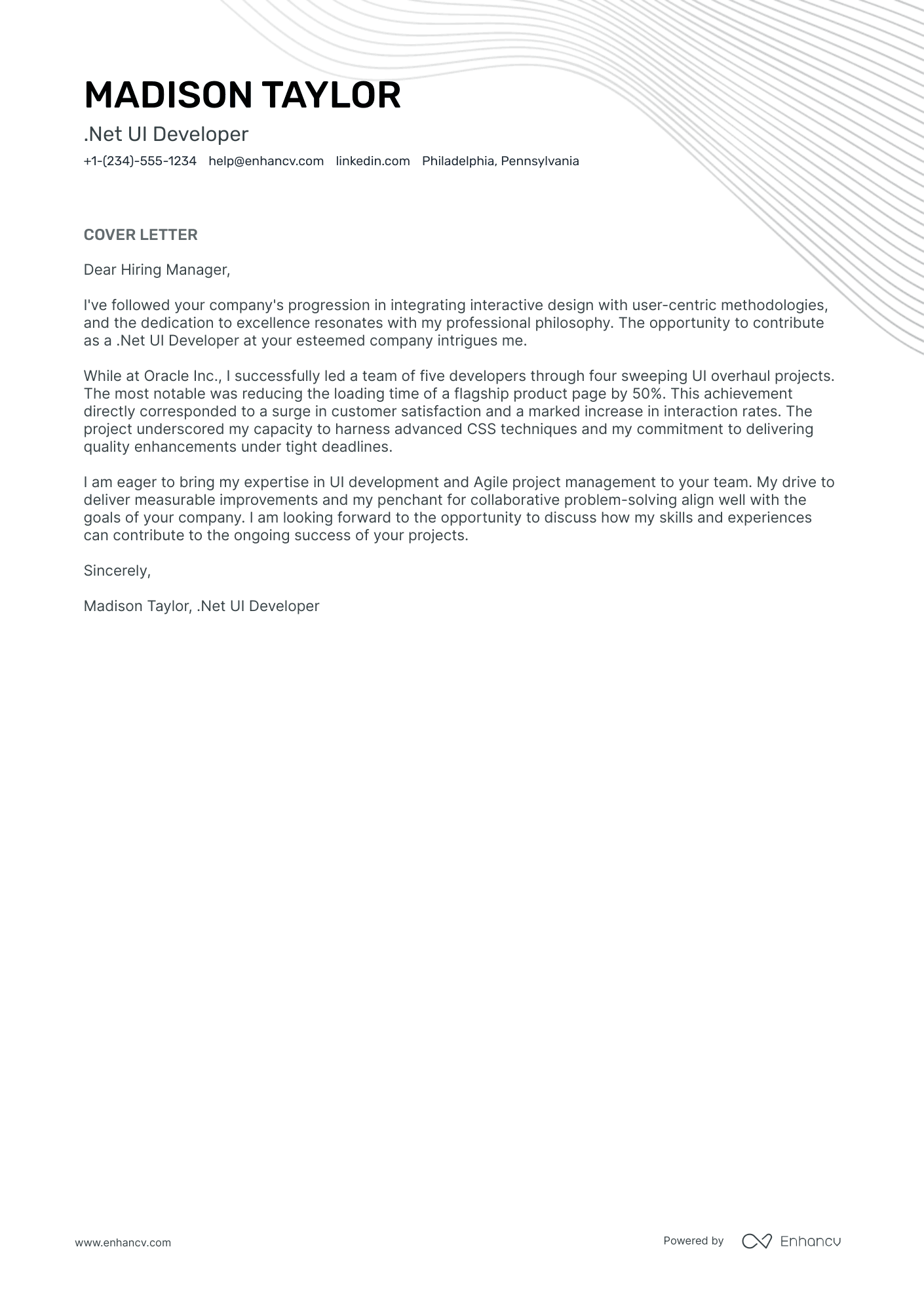 .Net UI Developer Resume Example