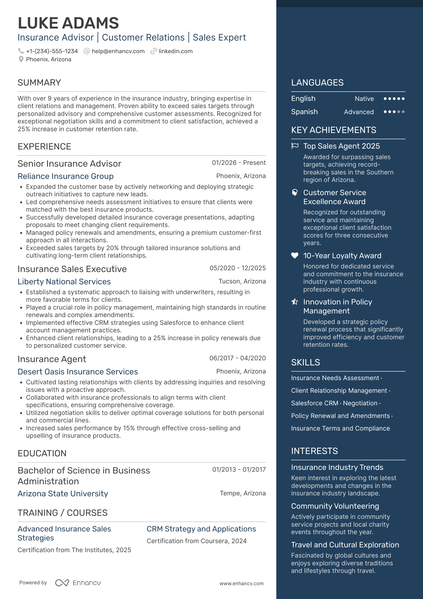 Insurance Agent Resume Example