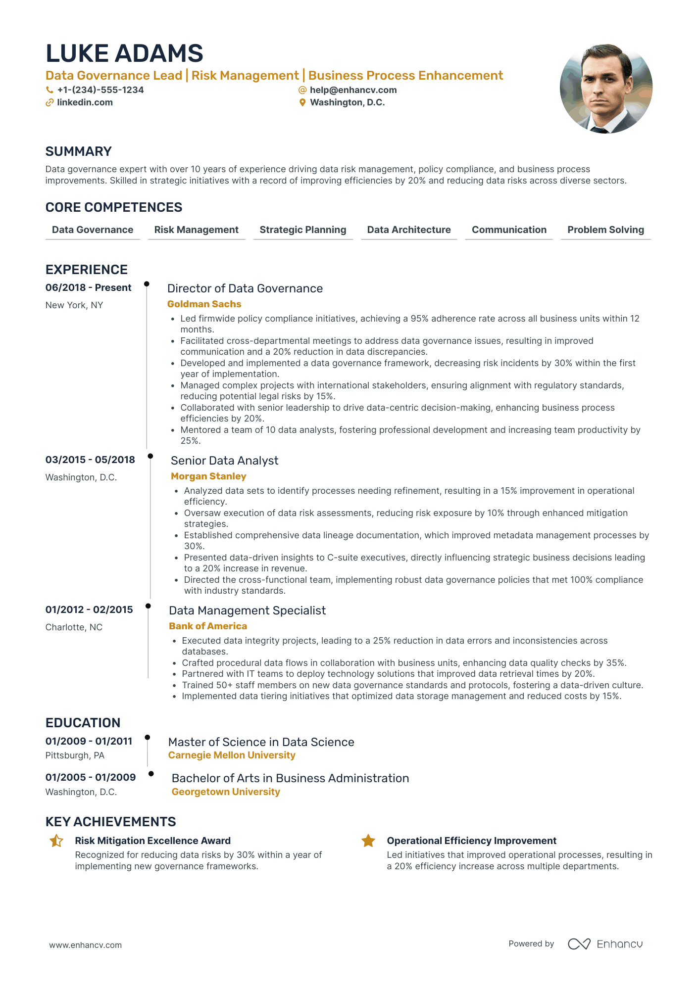 Chief Data Governance Officer Resume Example