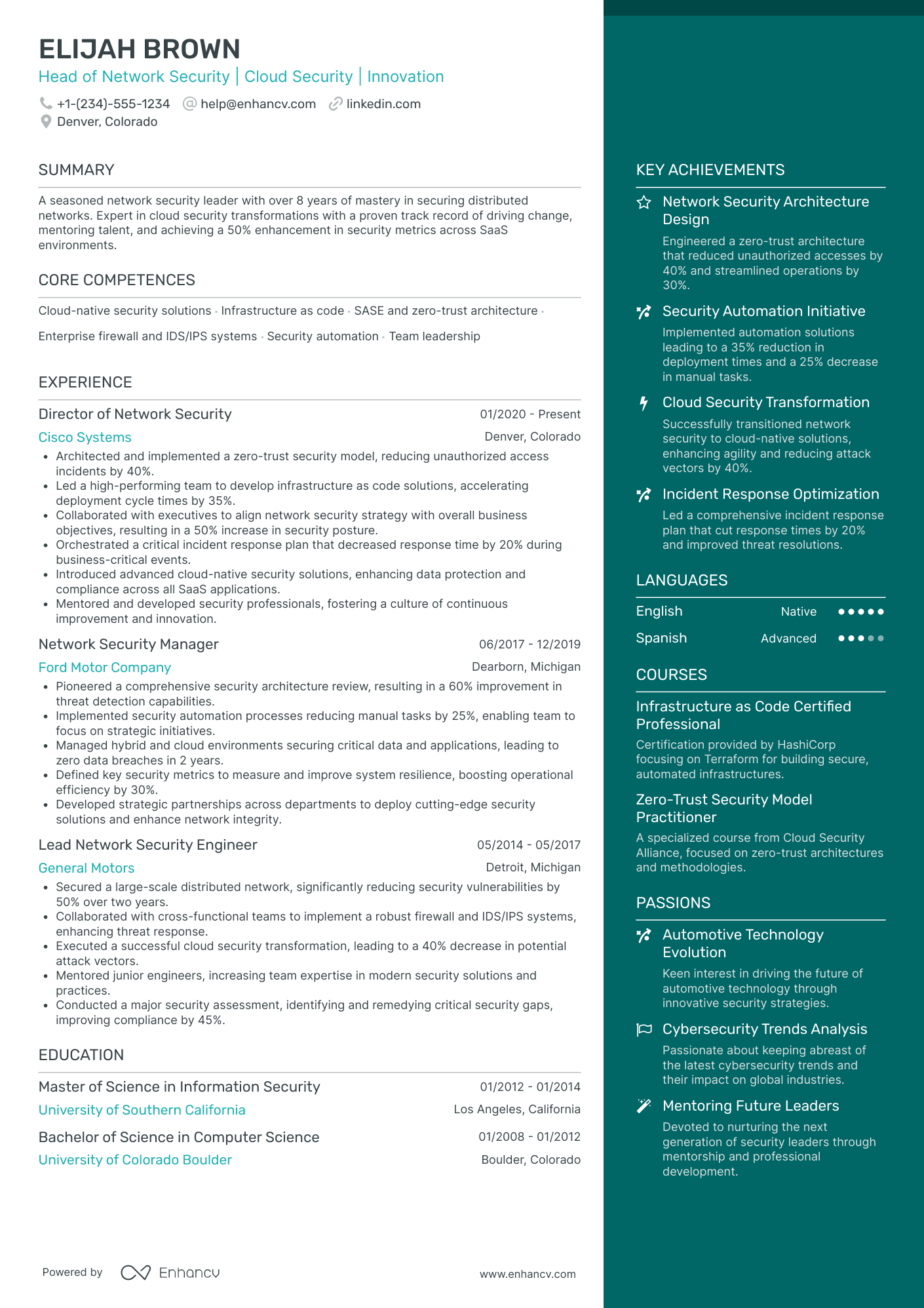 Chief Networking Officer in Cybersecurity Resume Example