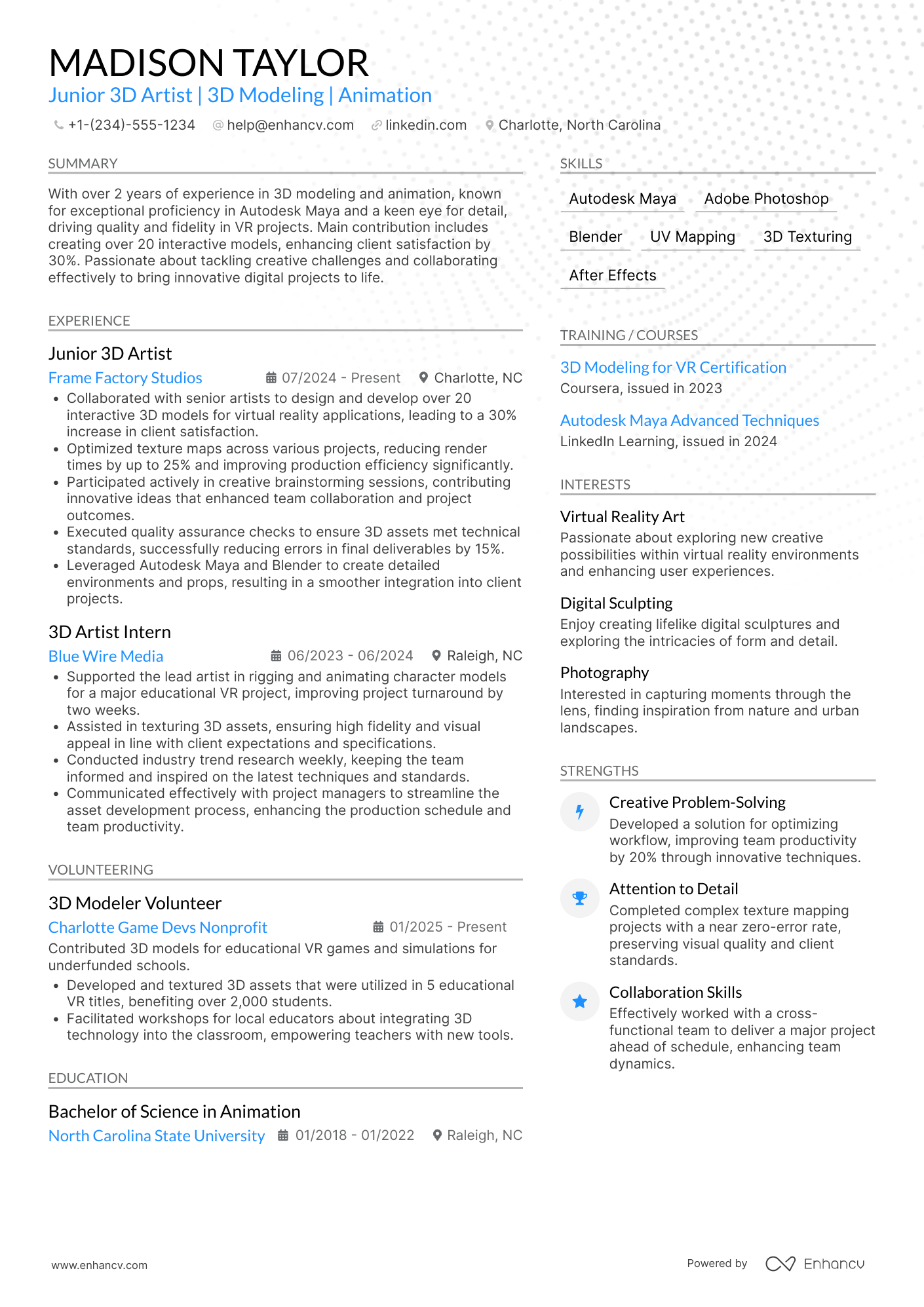 Junior 3D Artist Resume Example