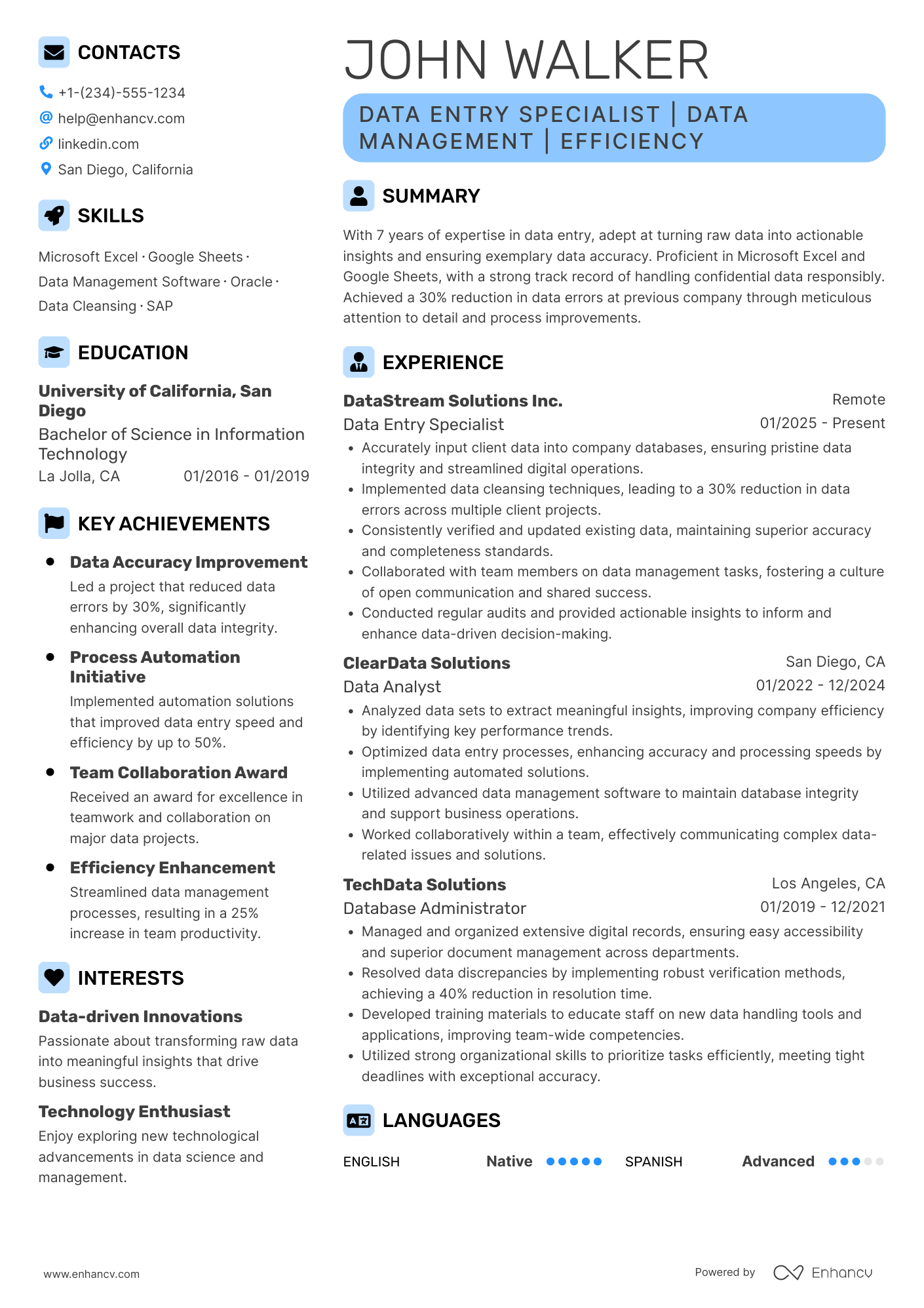Freelance Data Entry Resume Example