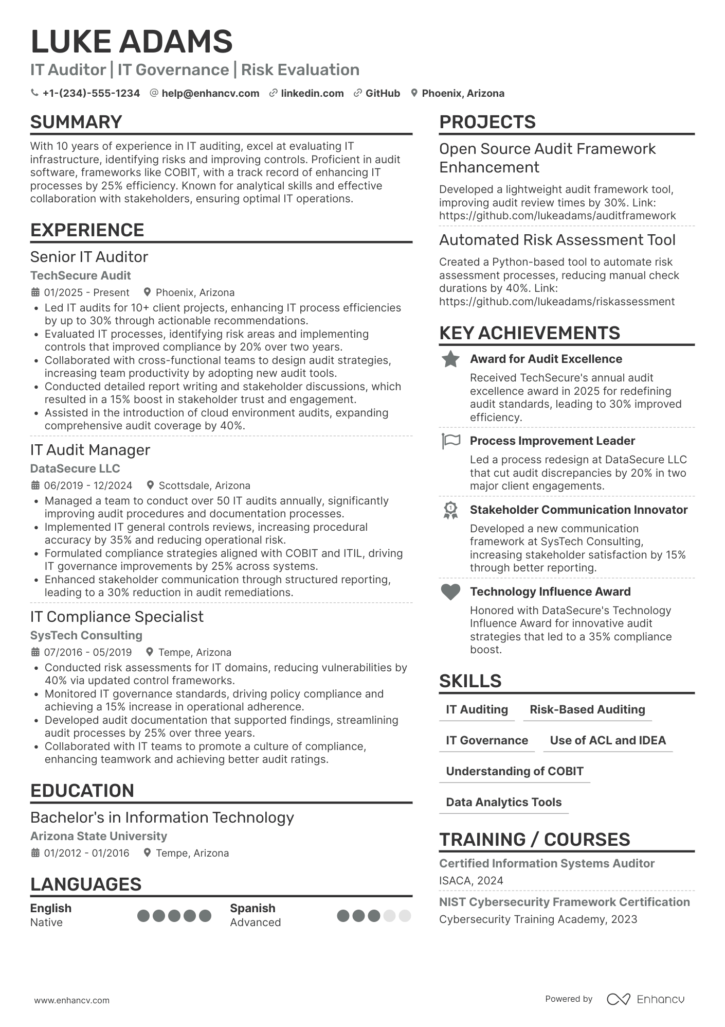 IT Auditor Resume Example