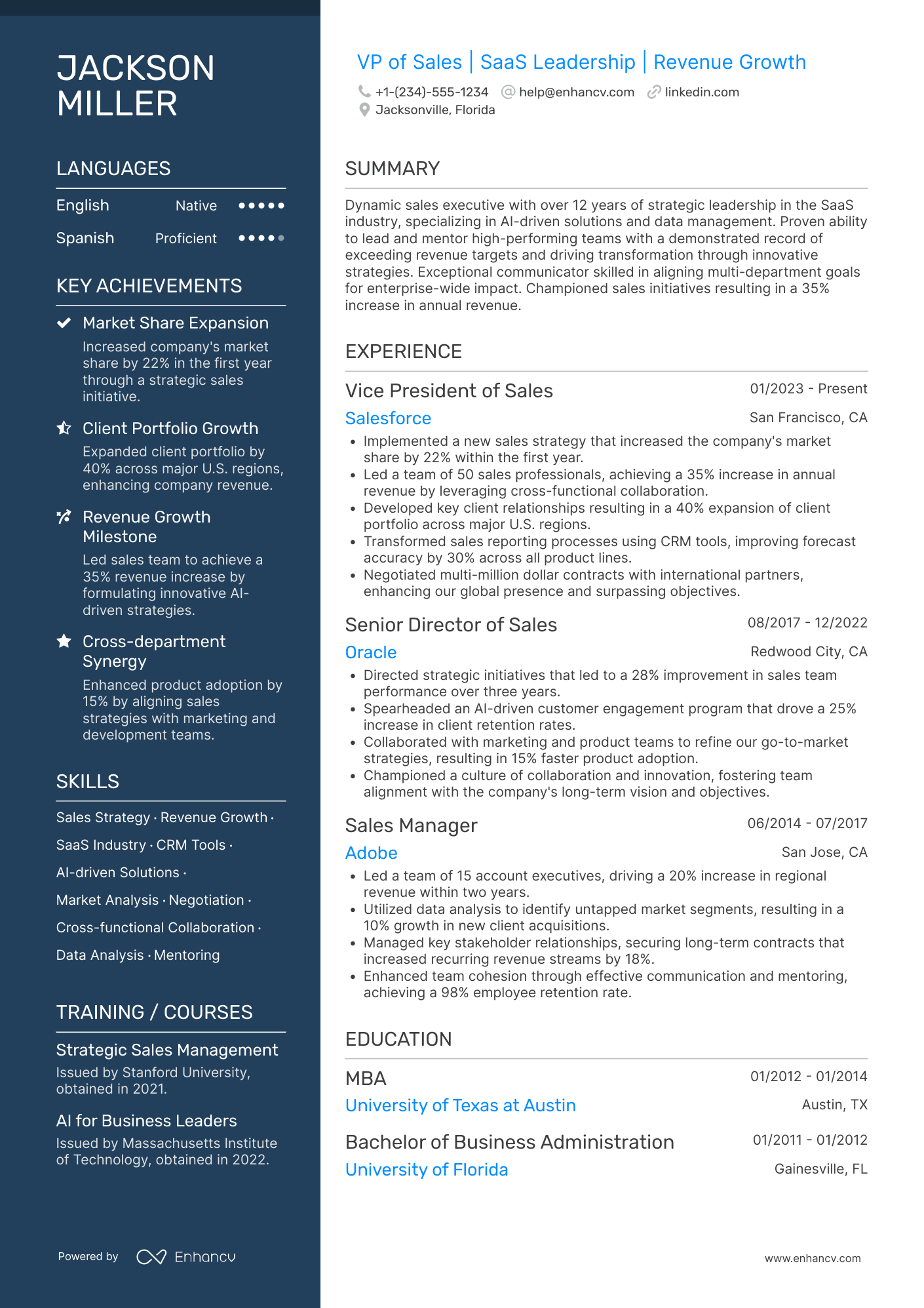 VP of Sales Resume Example