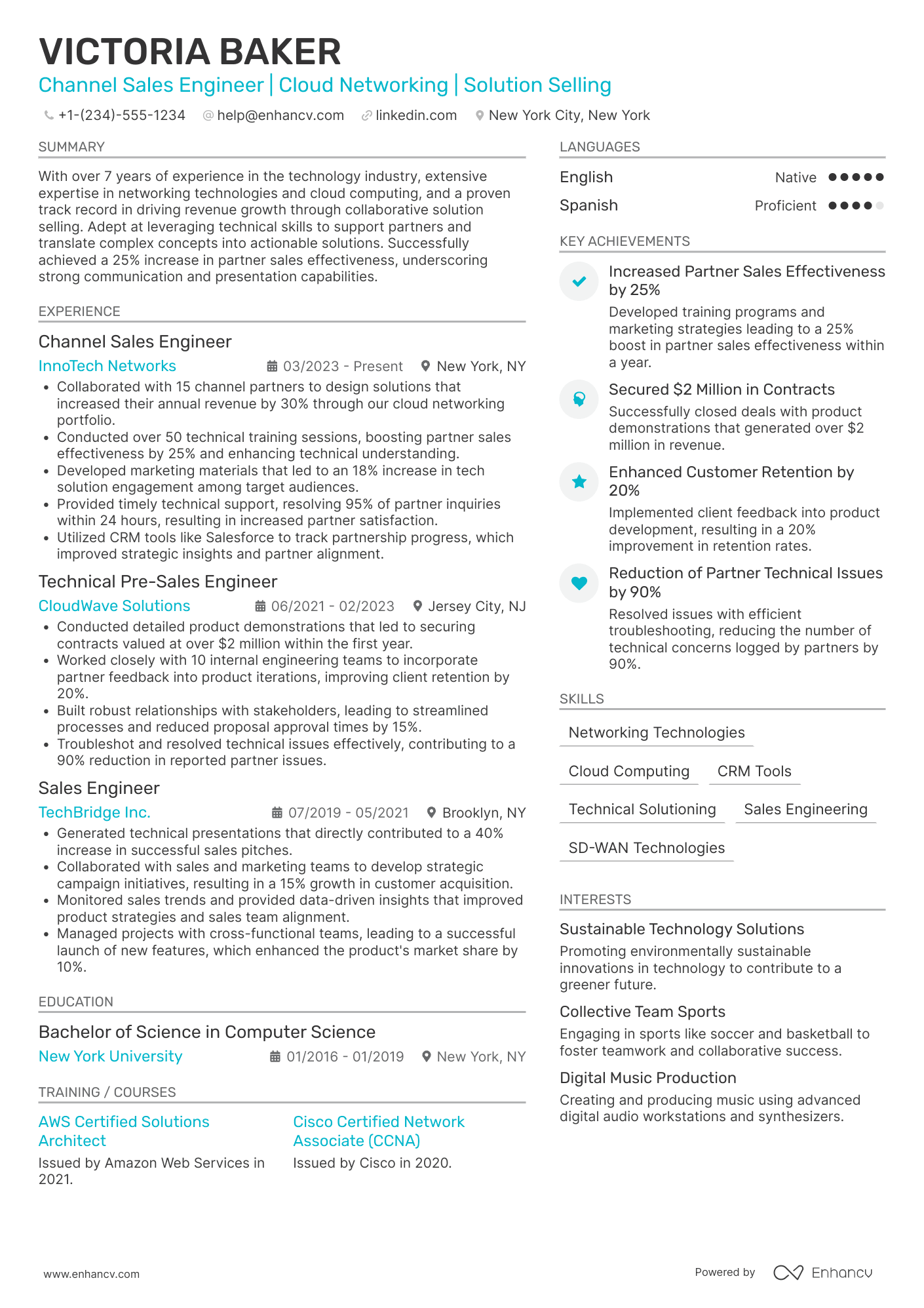 Channel Sales Engineer Resume Example