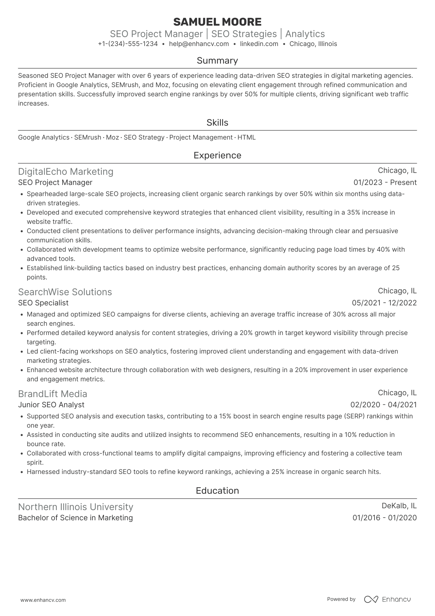 SEO Project Manager Resume Example
