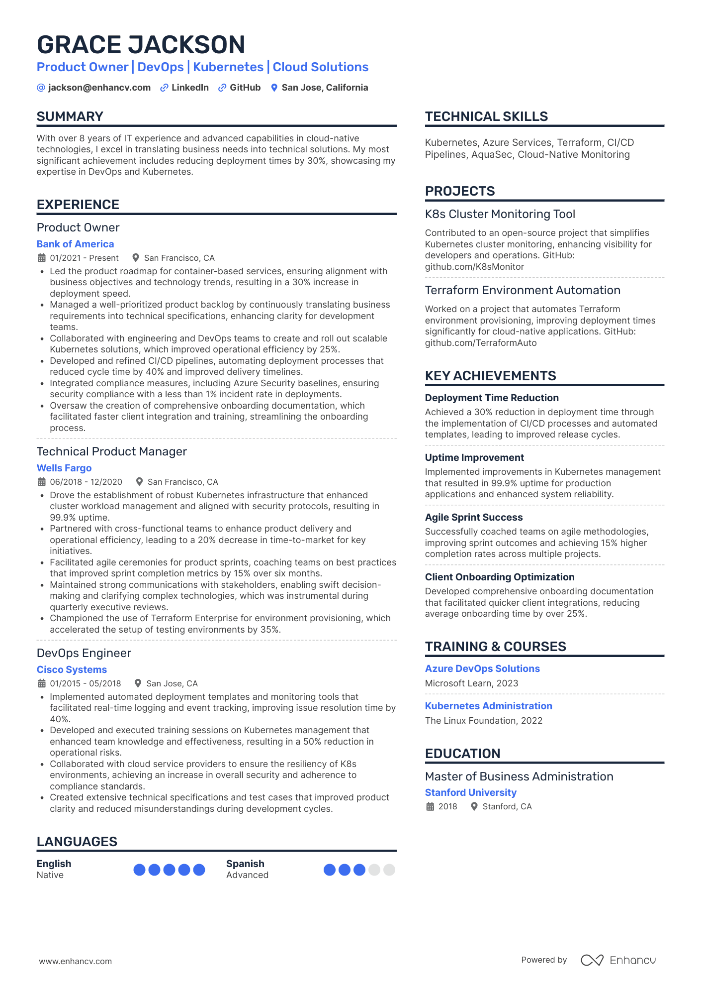 Cloud Product Owner Resume Example