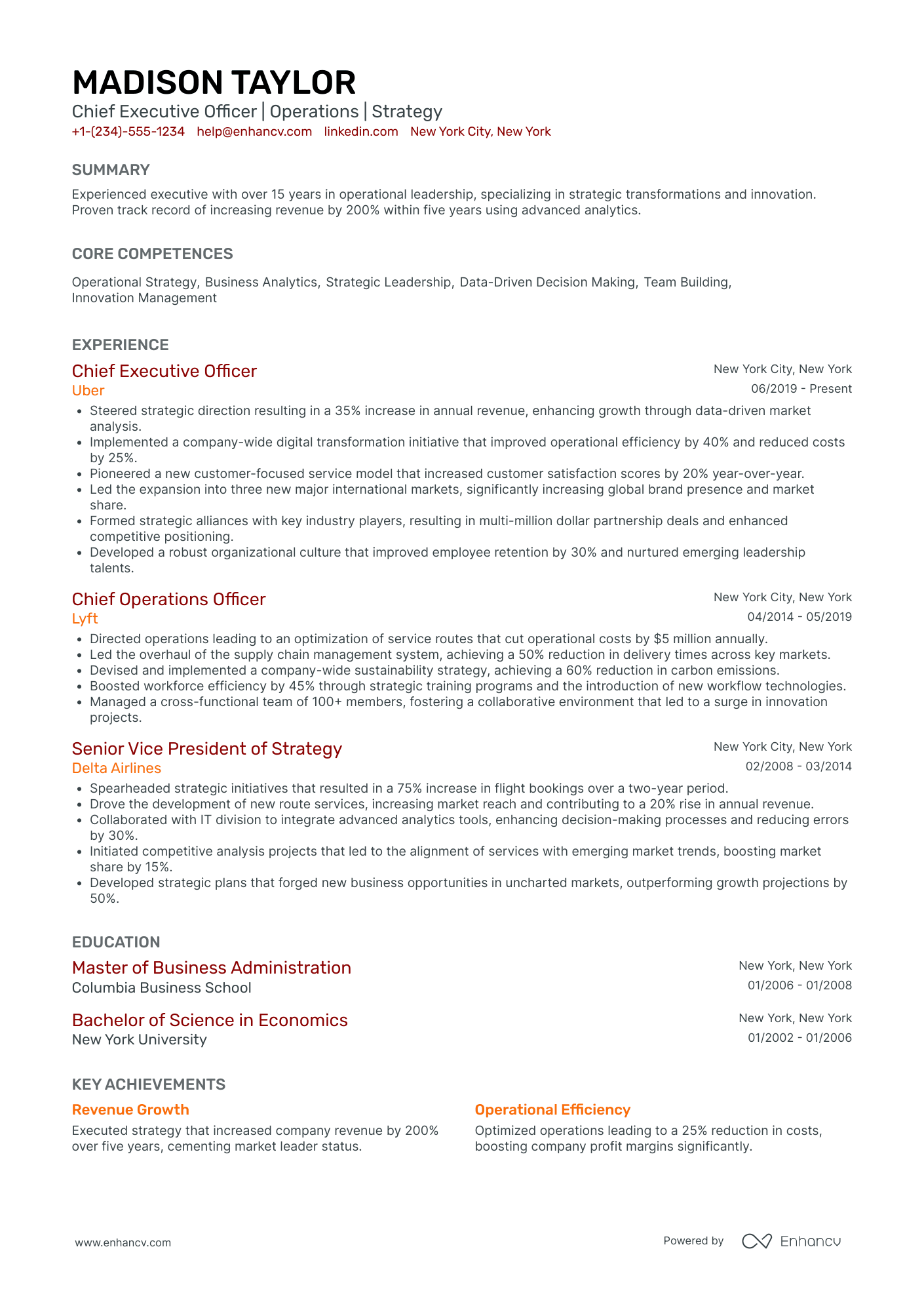 Chief Risk Officer in Retail Resume Example